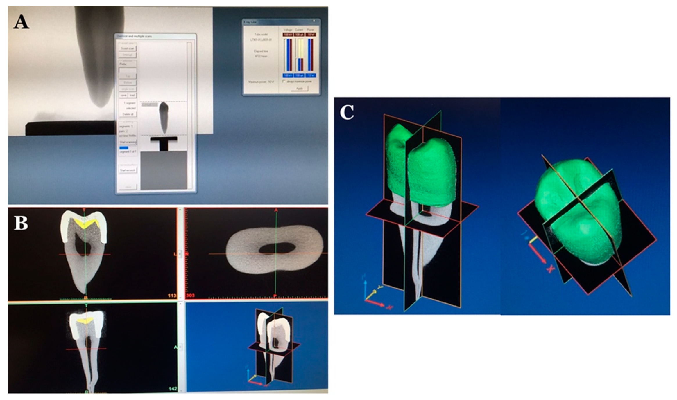 Applsci 11 01220 g002 Applsci 11 01220 g002