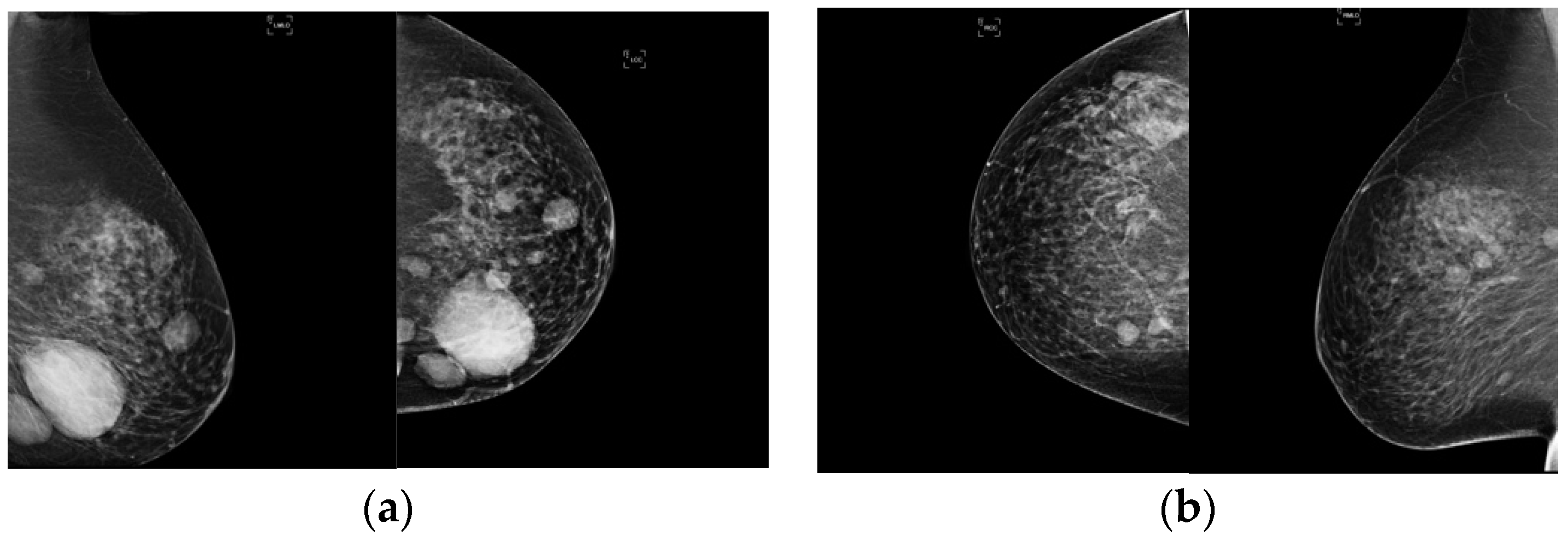 Applsci 11 01224 g001