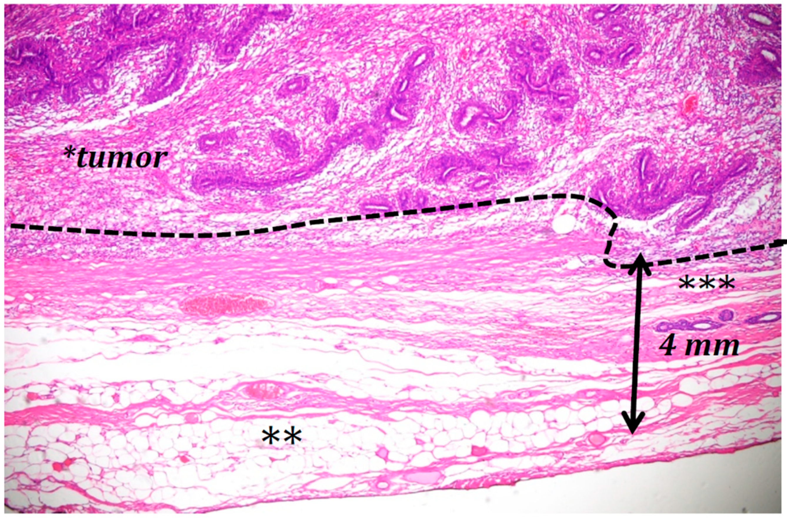 Applsci 11 01224 g005