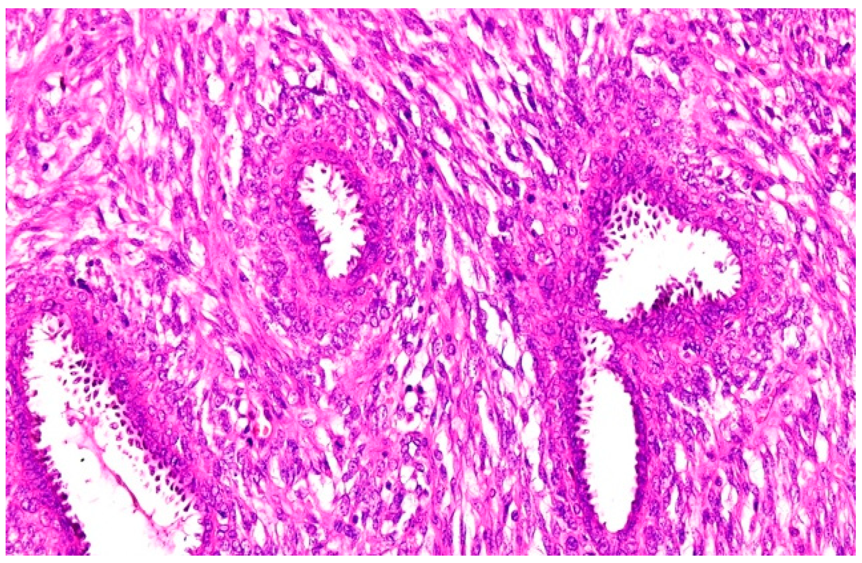 Applsci 11 01224 g006