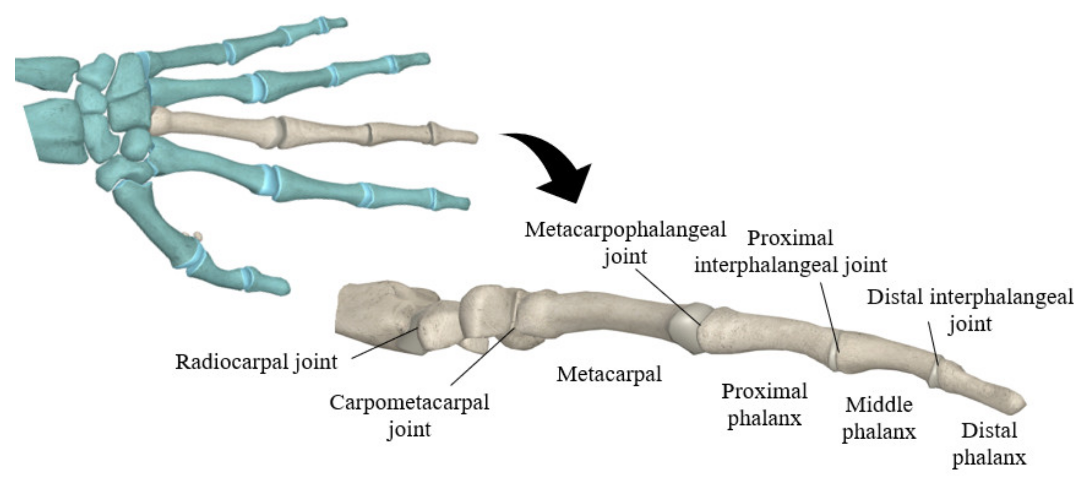 Applsci 11 01246 g001