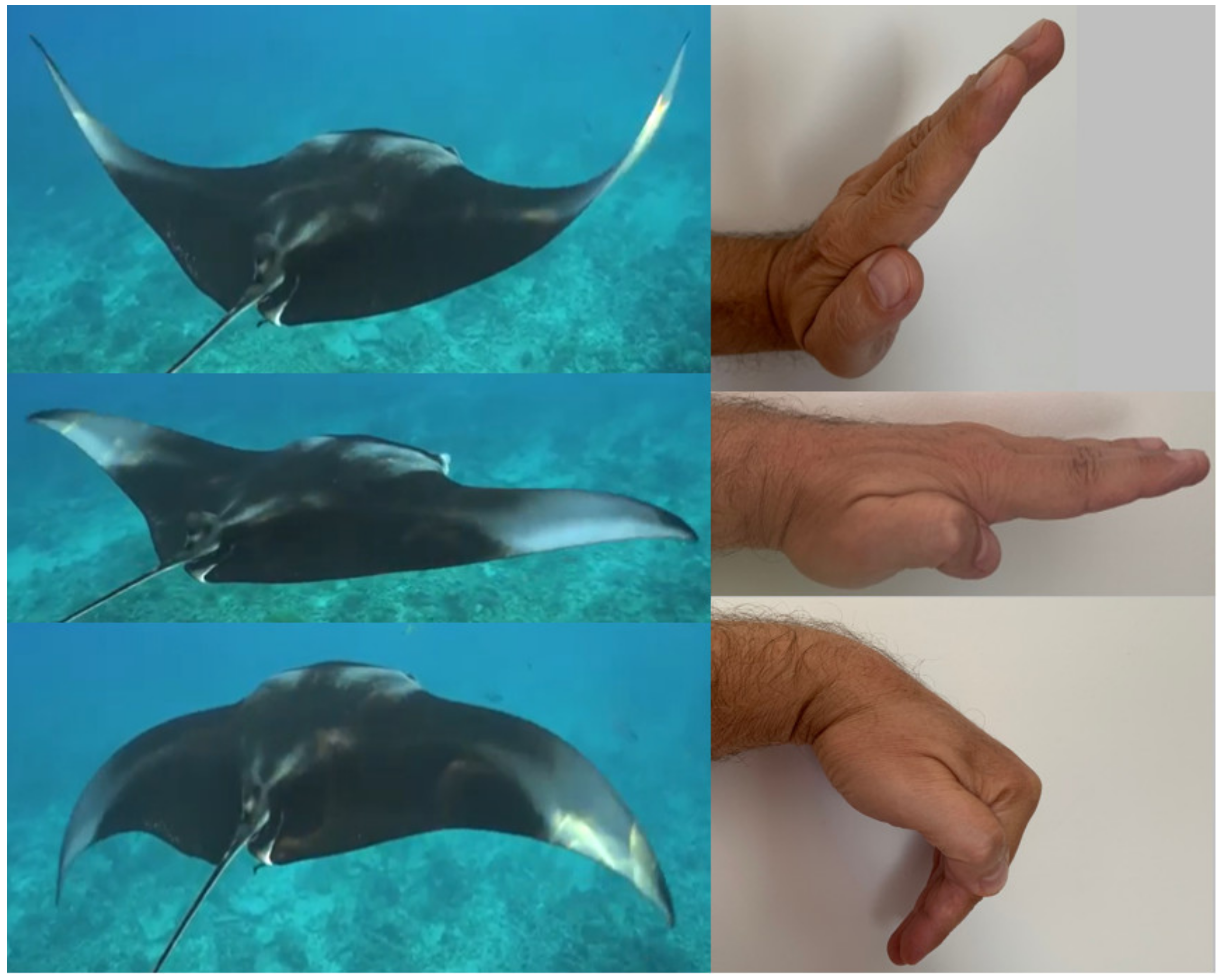 Applsci 11 01246 g004