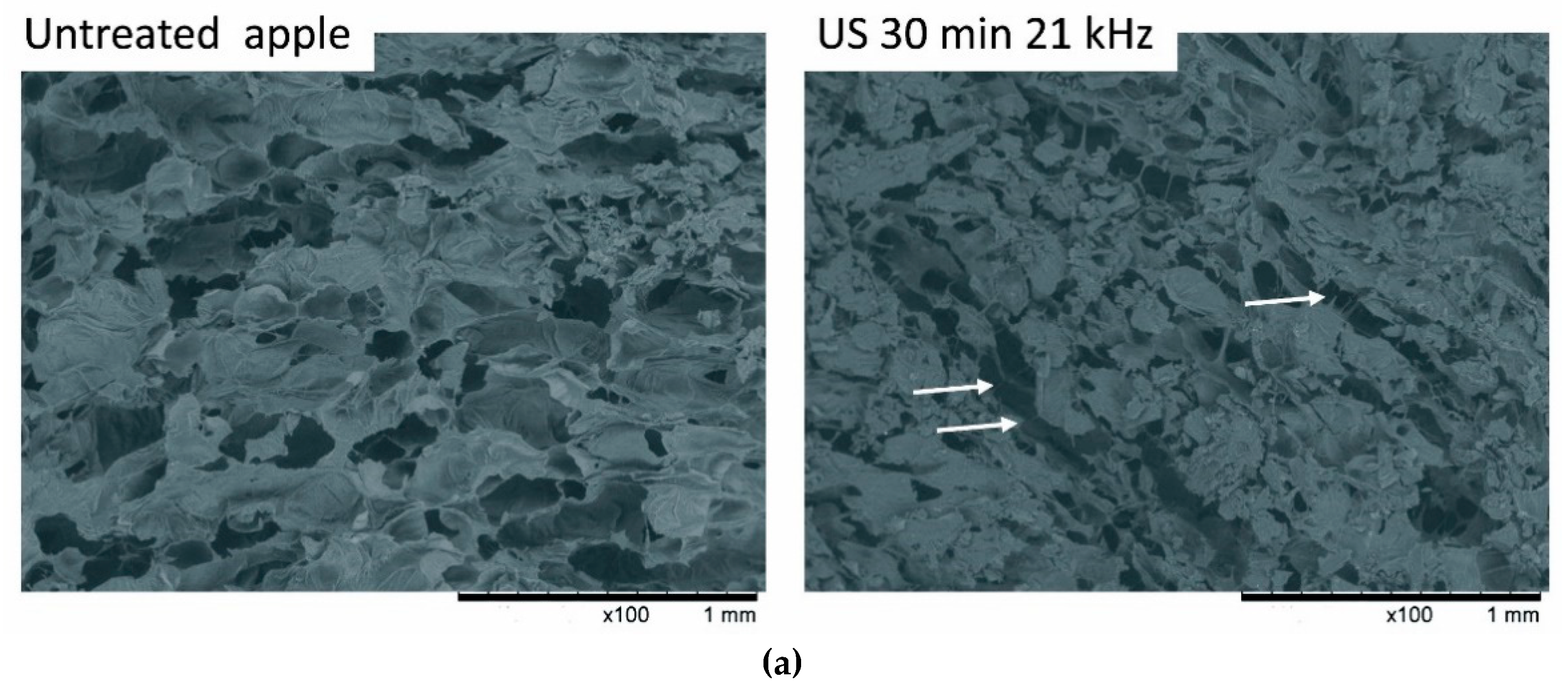Applsci 11 01269 g002a Applsci 11 01269 g002a