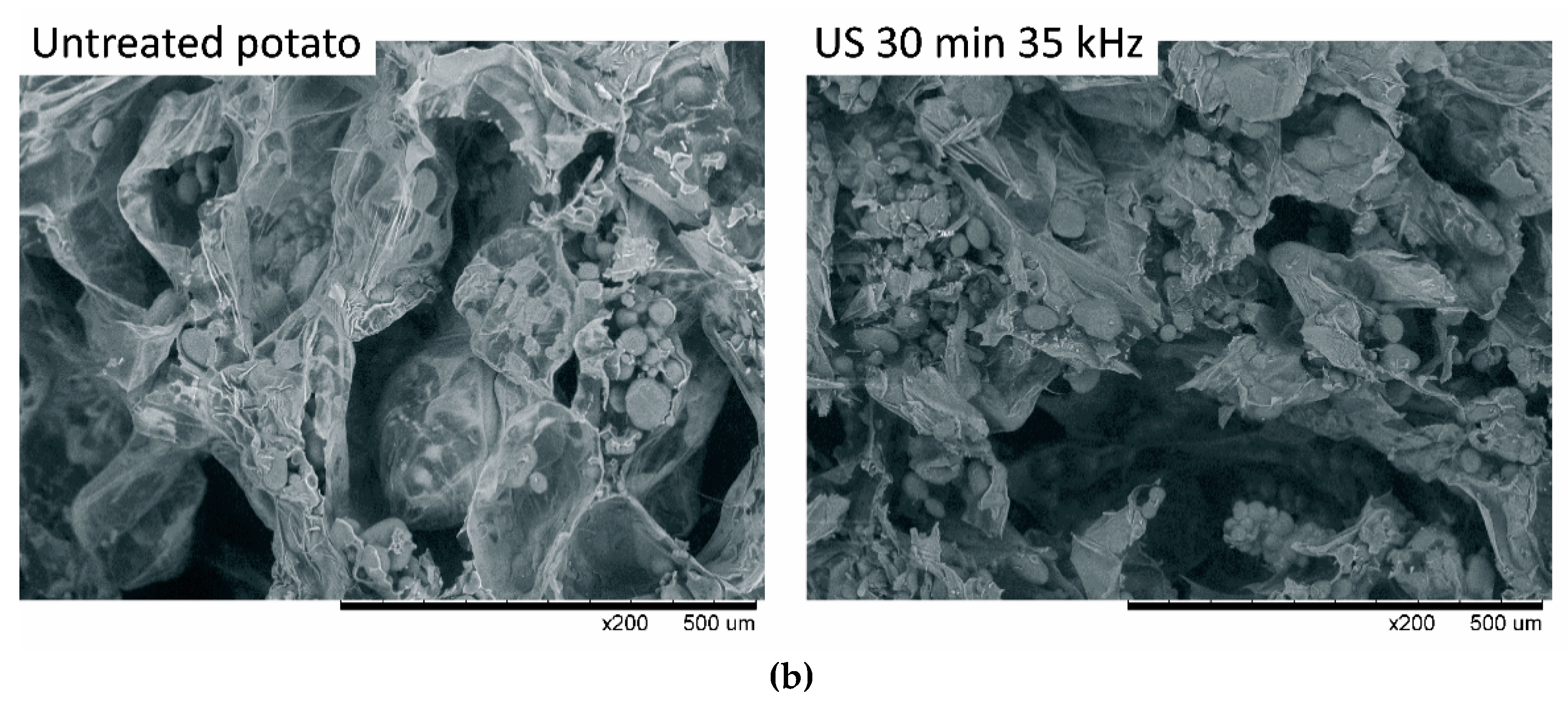Applsci 11 01269 g002b Applsci 11 01269 g002b