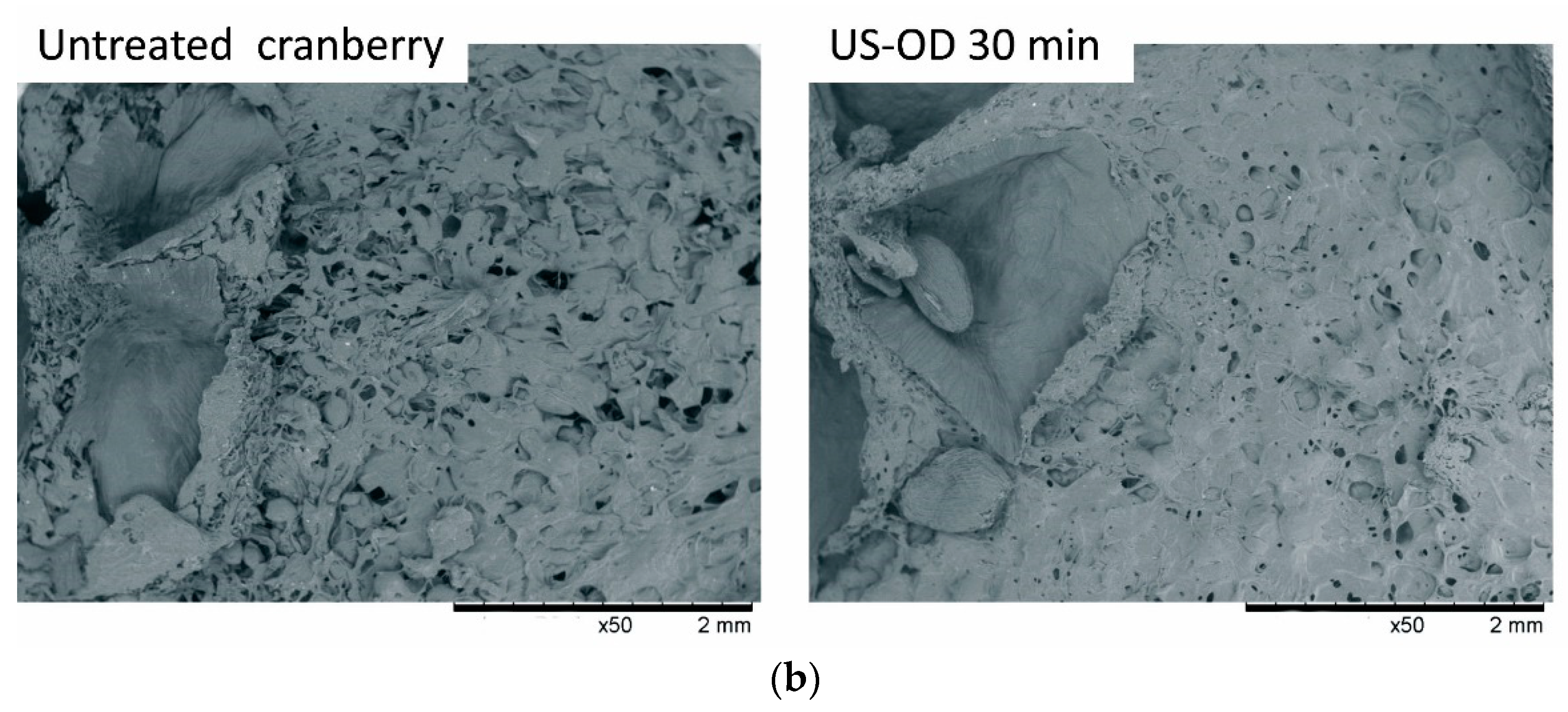 Applsci 11 01269 g003b Applsci 11 01269 g003b