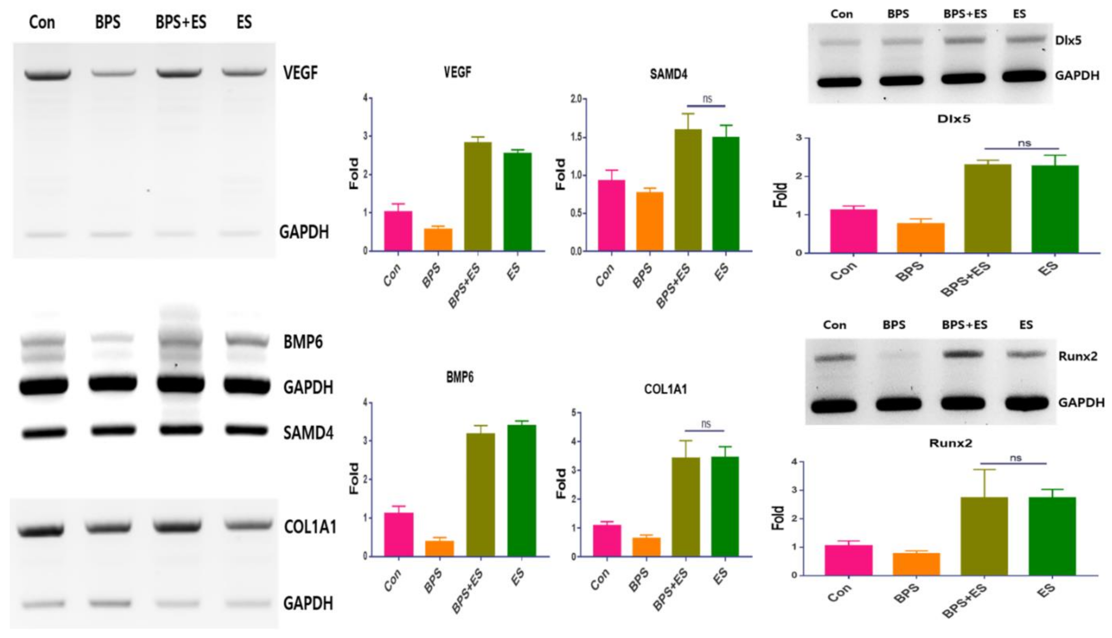 Applsci 11 01346 g004 Applsci 11 01346 g004