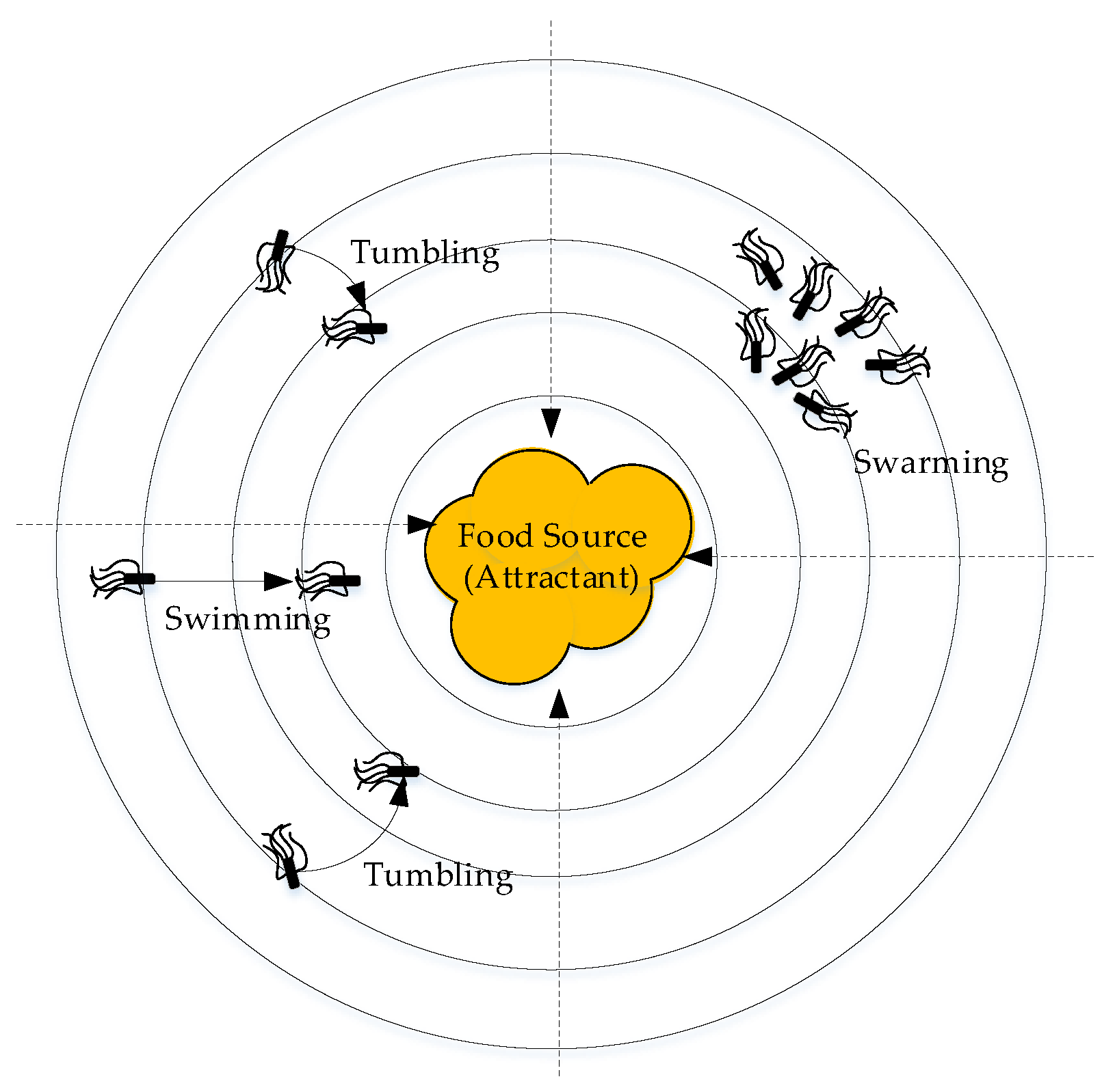 Applsci 11 01347 g002 Applsci 11 01347 g002