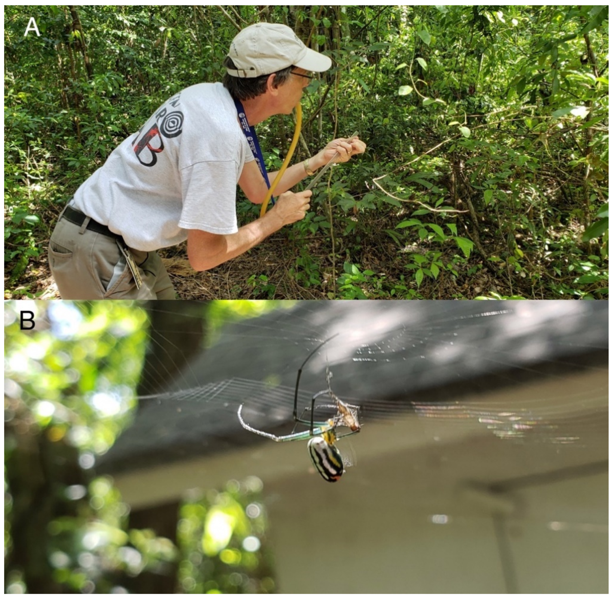 Applsci 11 01360 g001 Applsci 11 01360 g001