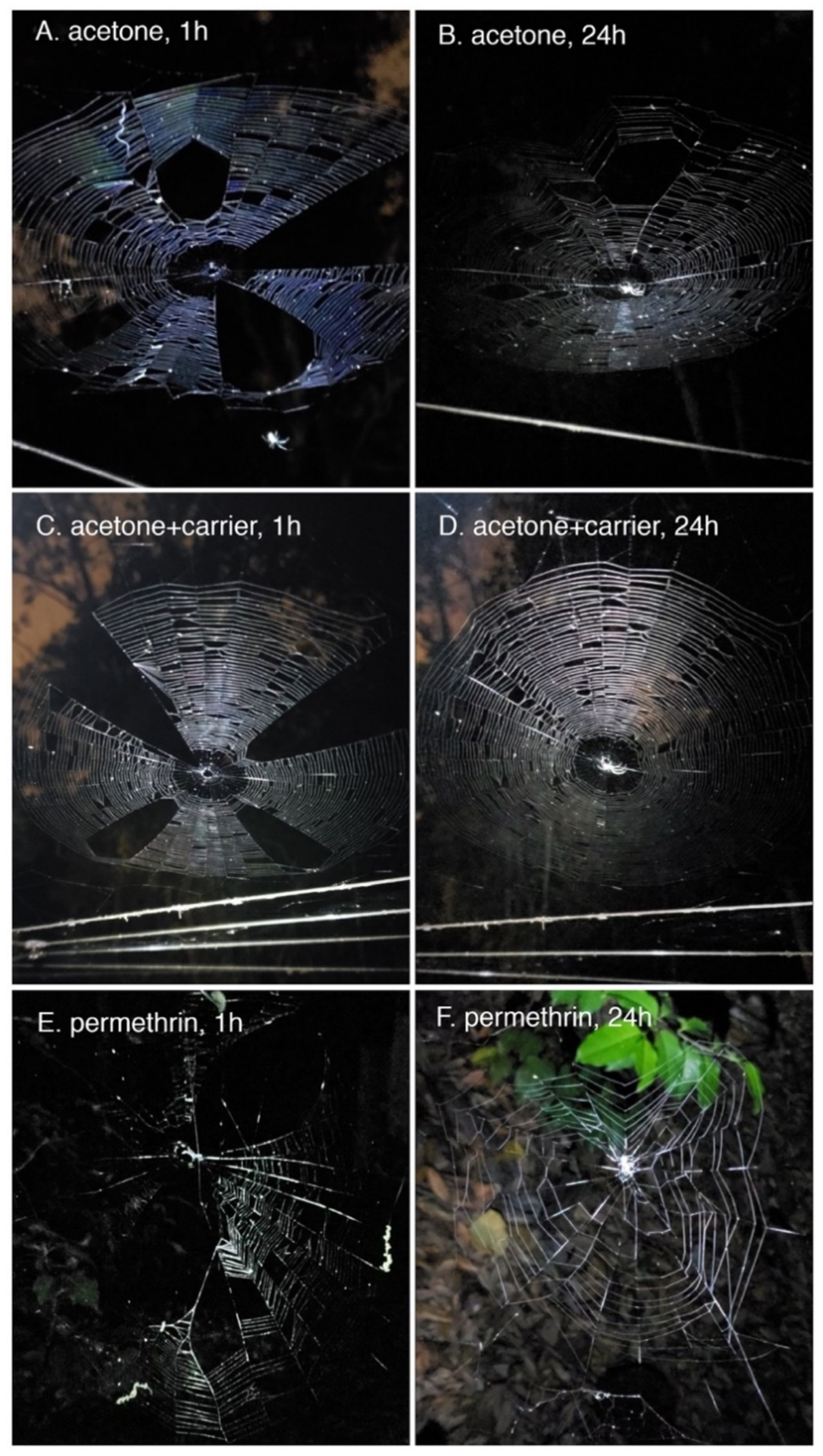 Applsci 11 01360 g002 Applsci 11 01360 g002