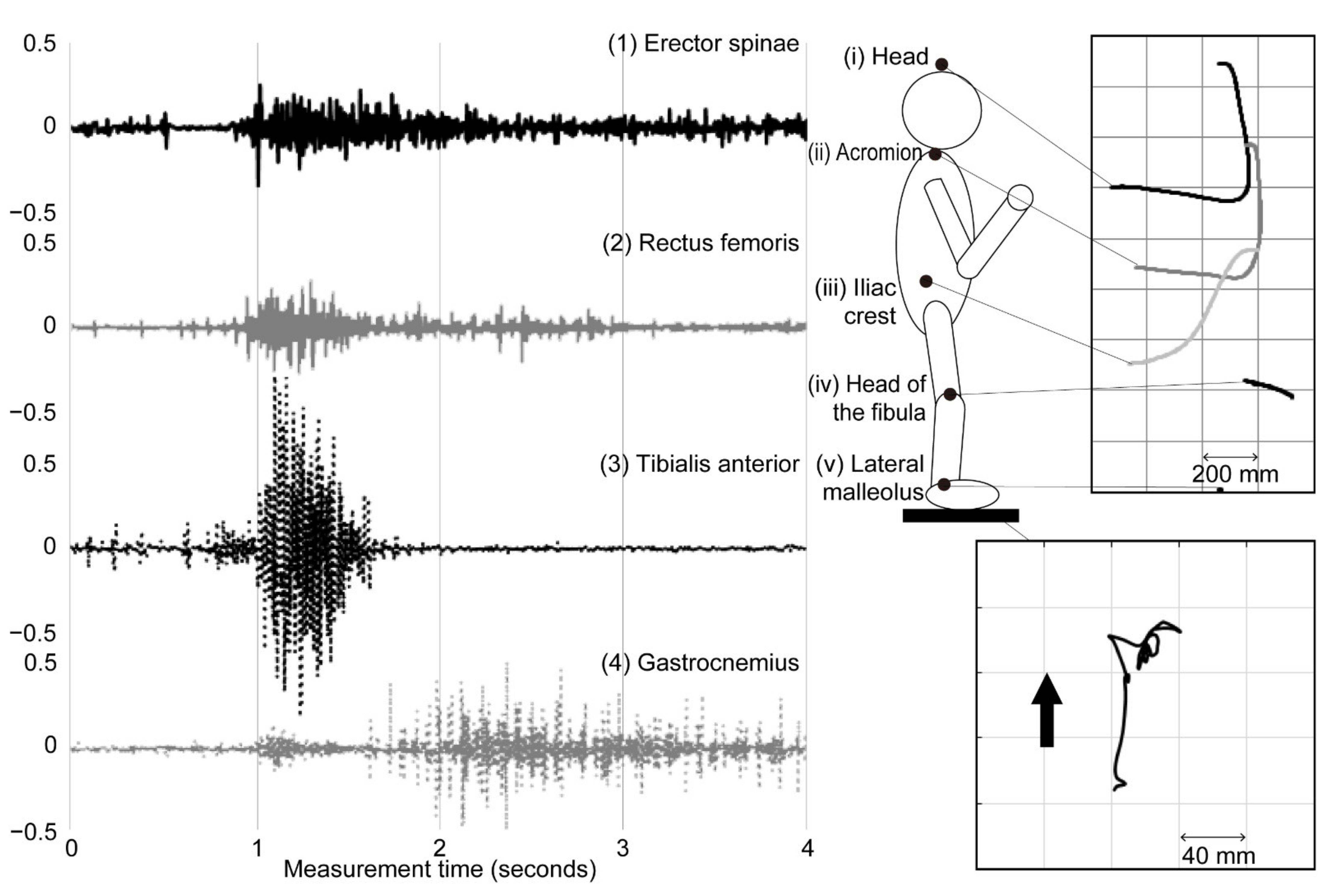 Applsci 11 01368 g003