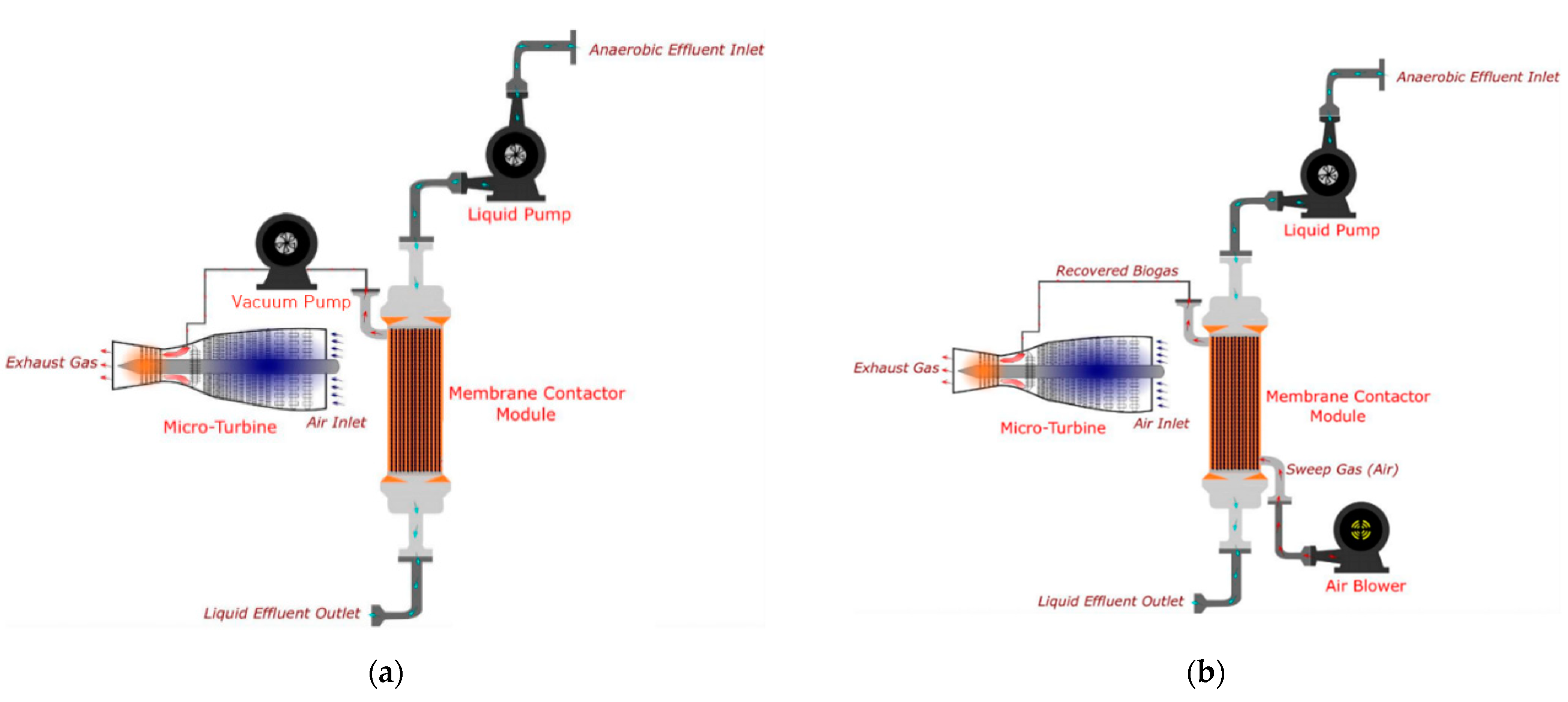 Applsci 11 01372 g002 Applsci 11 01372 g002