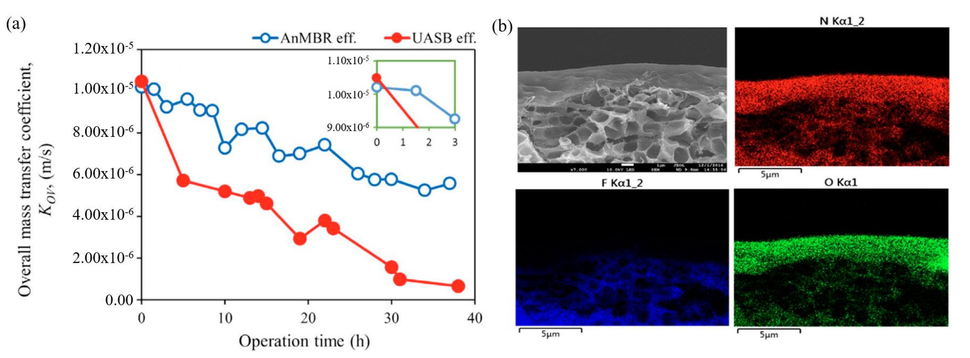 Applsci 11 01372 g005 Applsci 11 01372 g005