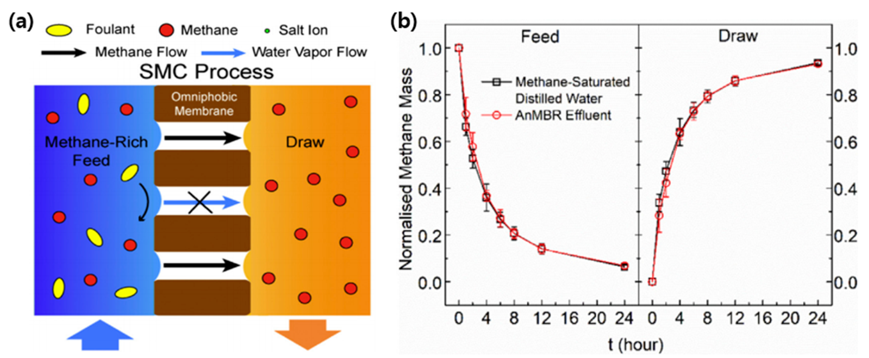 Applsci 11 01372 g006 Applsci 11 01372 g006