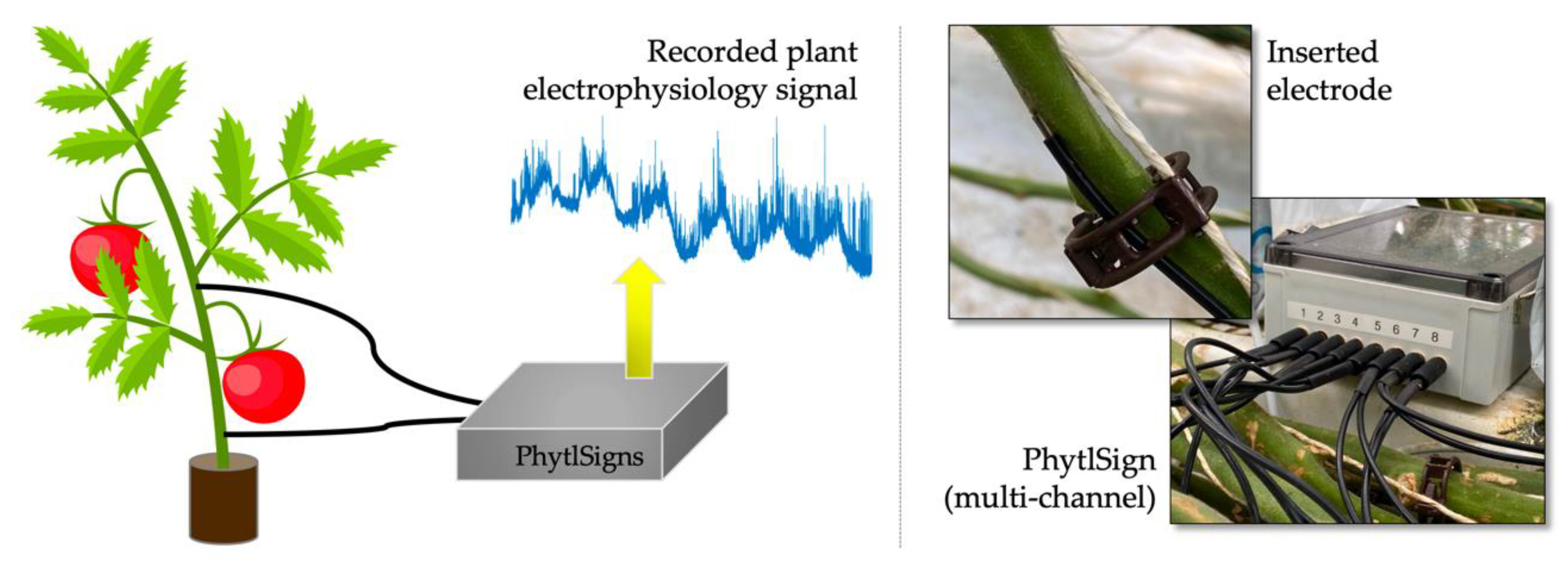 Applsci 11 01414 g002