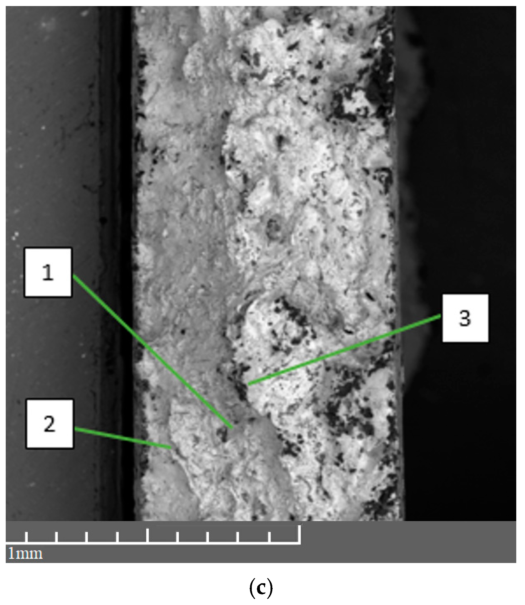 Applsci 11 01419 g008b Applsci 11 01419 g008b