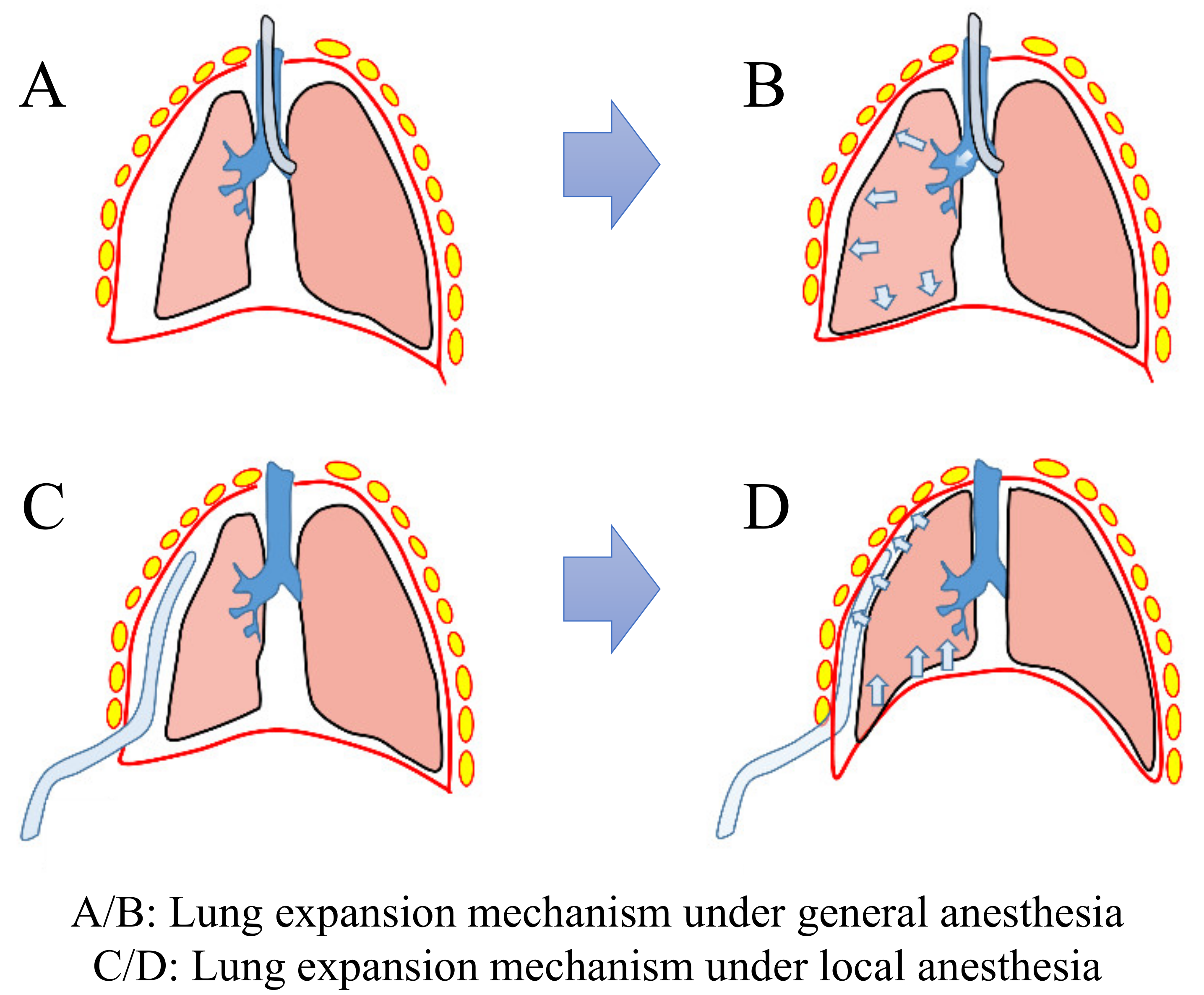 Applsci 11 01468 g001