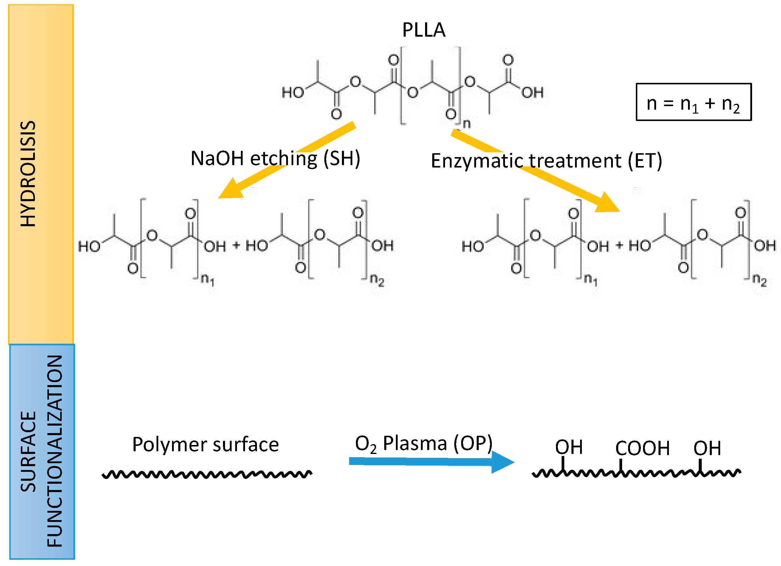 Applsci 11 01478 g001 Applsci 11 01478 g001