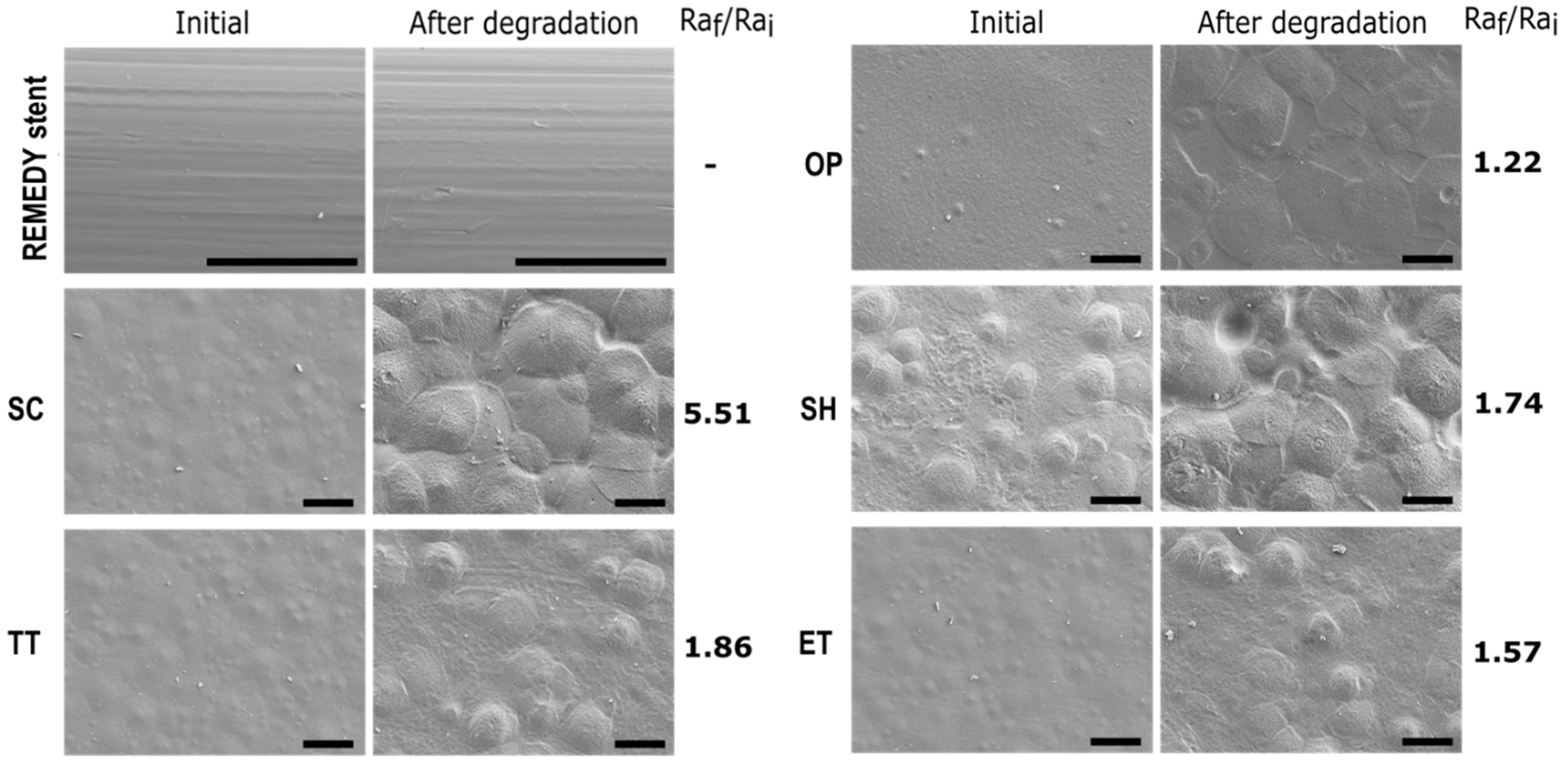 Applsci 11 01478 g005 Applsci 11 01478 g005
