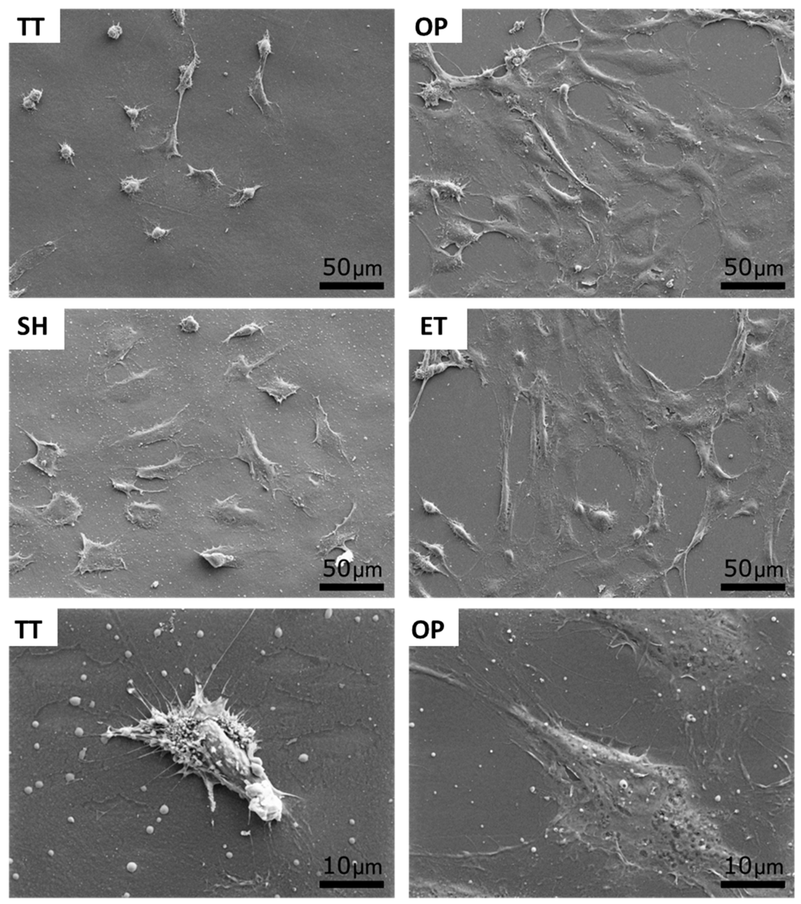 Applsci 11 01478 g007 Applsci 11 01478 g007