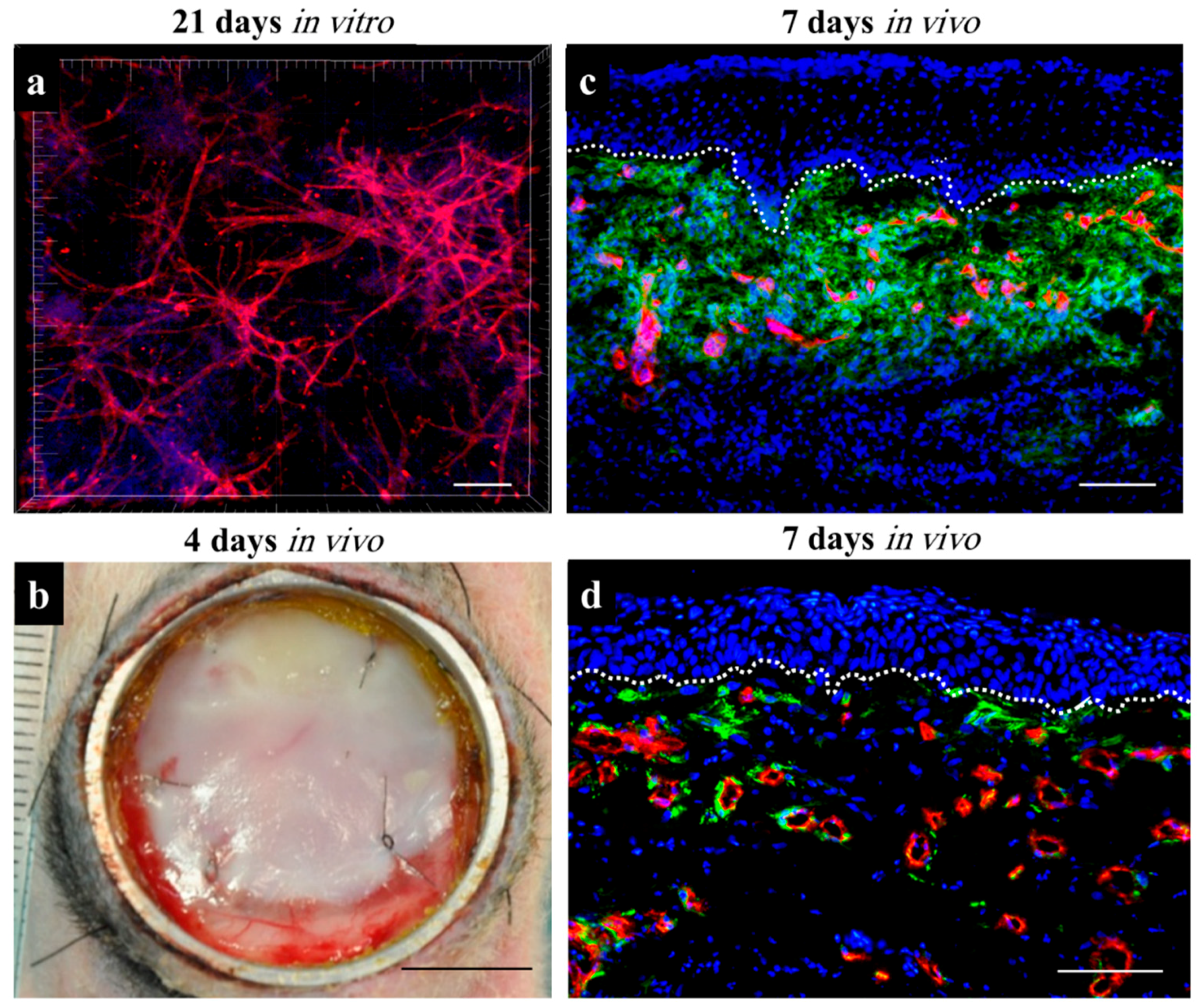 Applsci 11 01493 g002