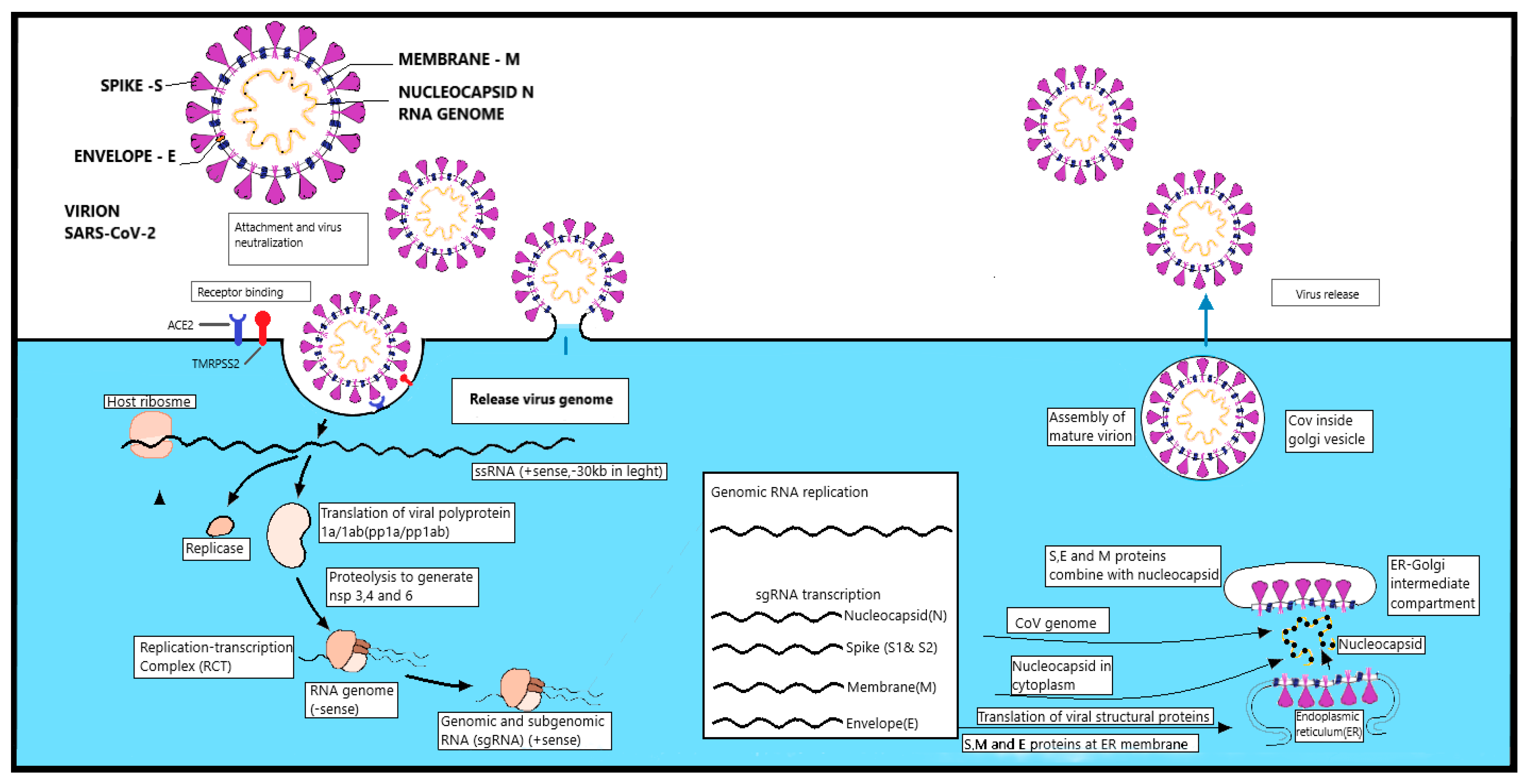 Applsci 11 01497 g003