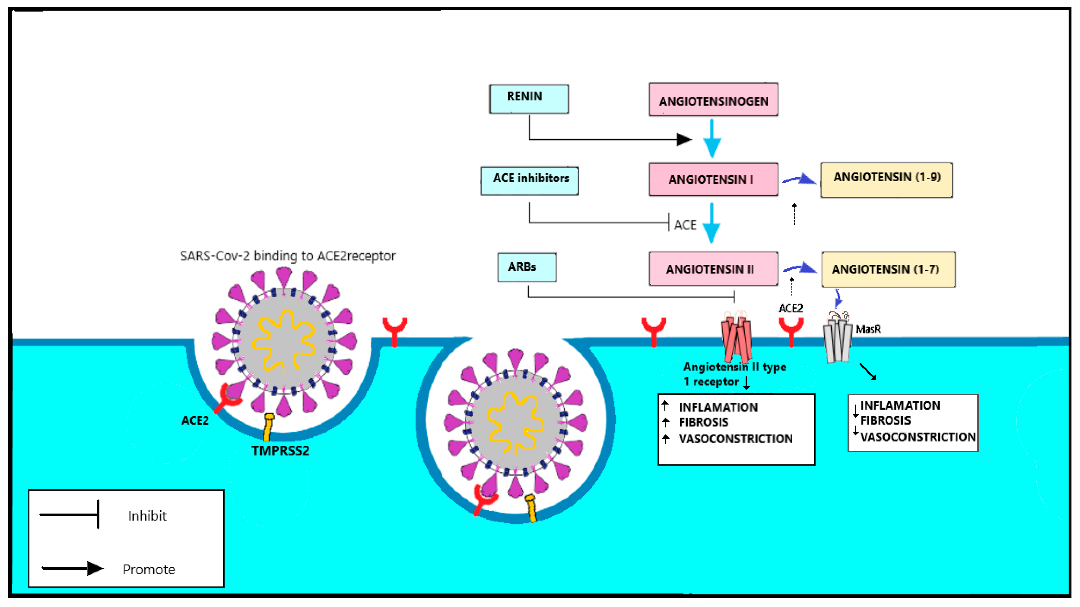 Applsci 11 01497 g004