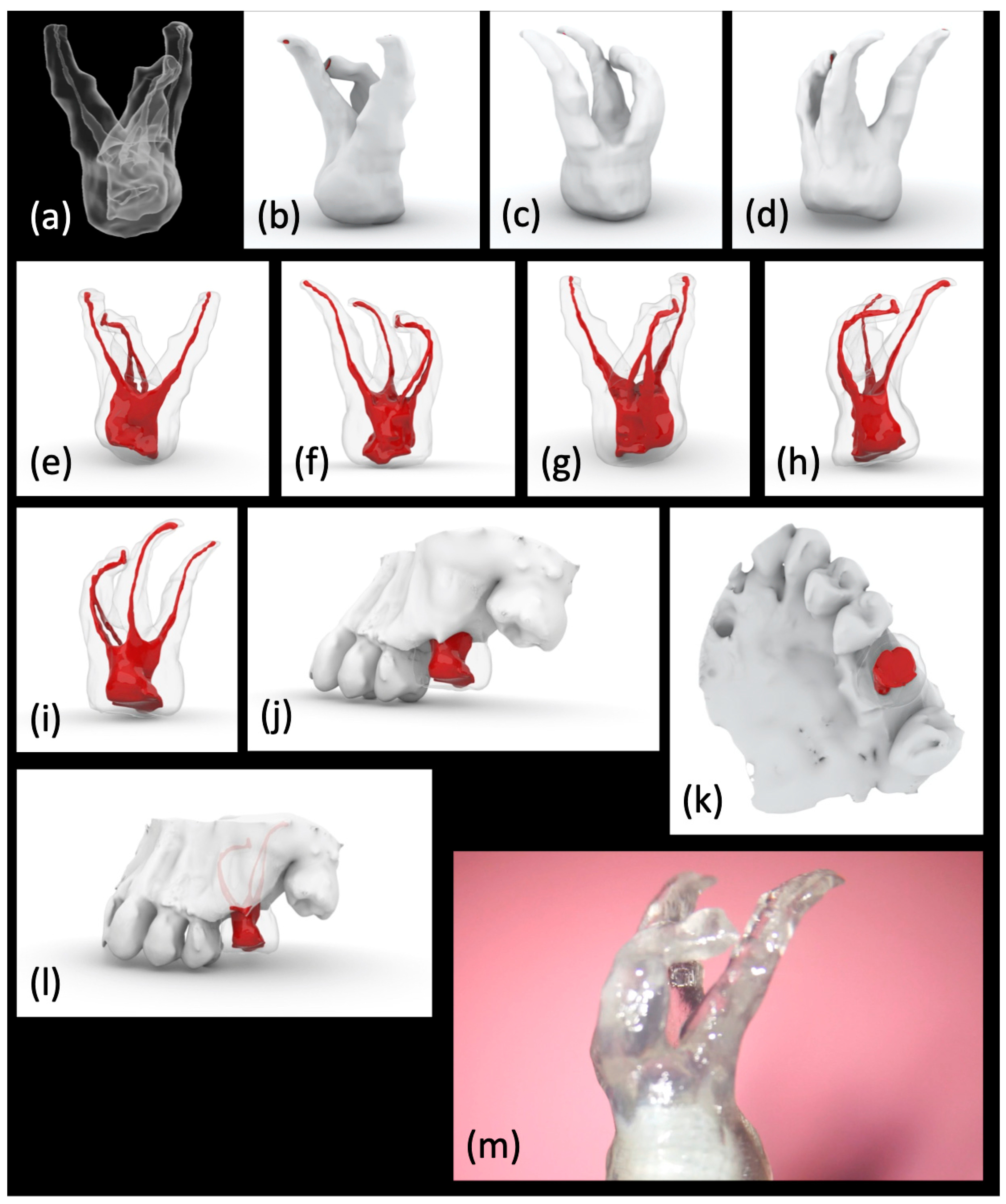 Applsci 11 01511 g007