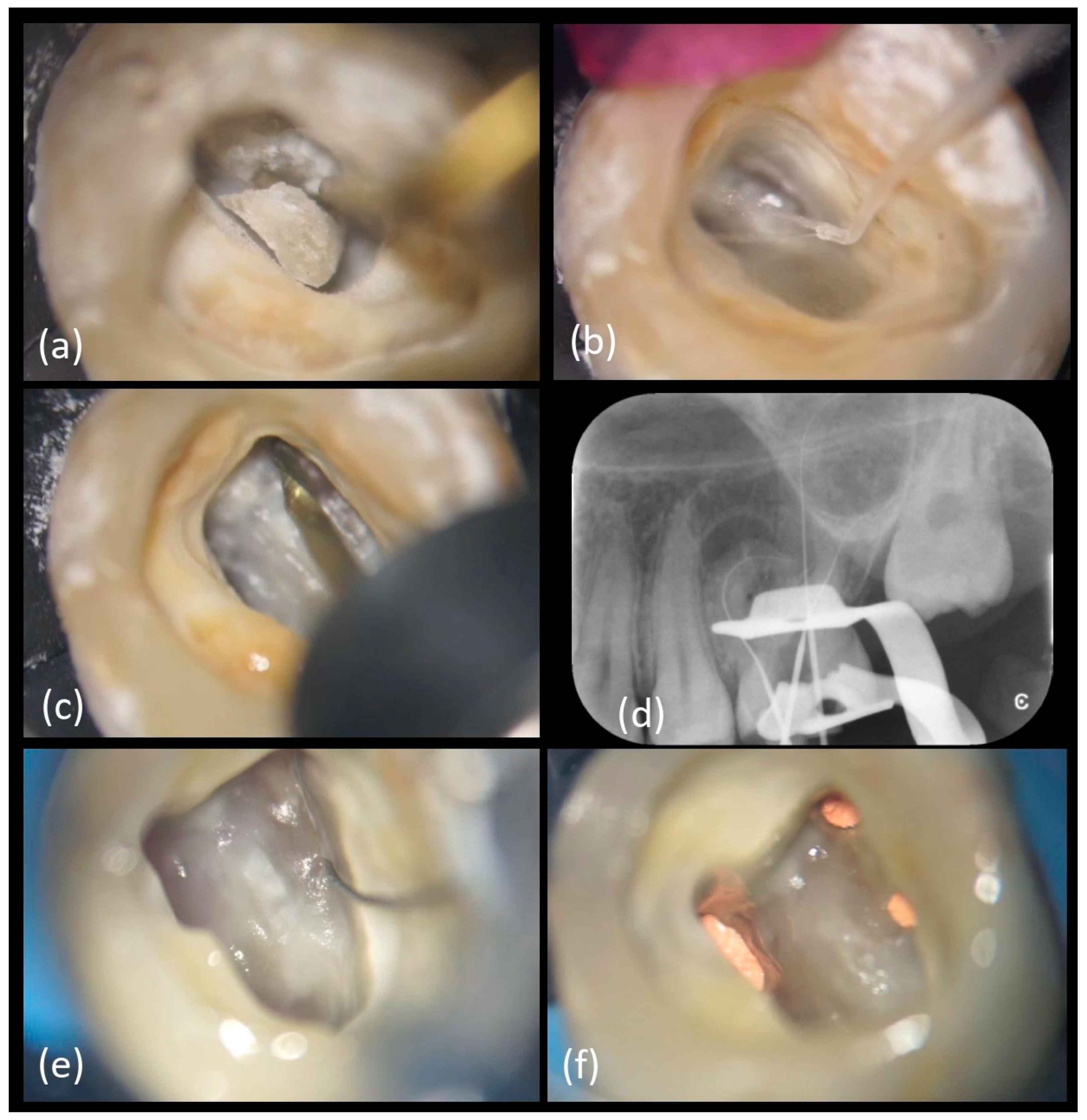 Applsci 11 01511 g008