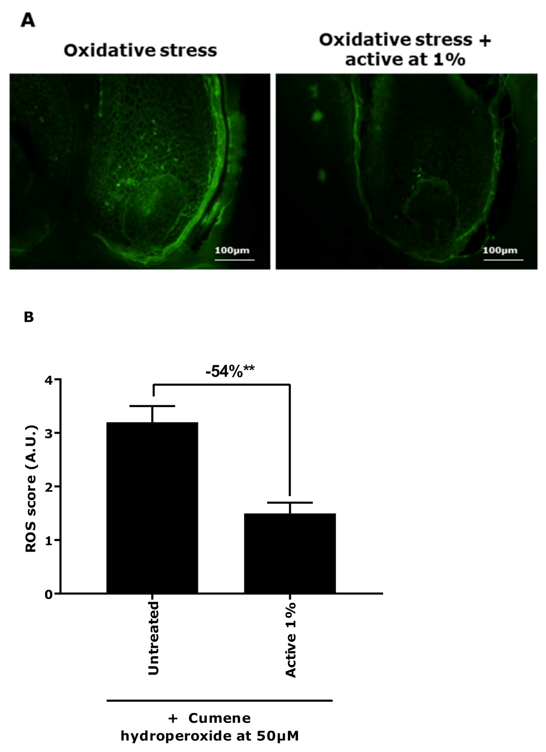 Applsci 11 01533 g005