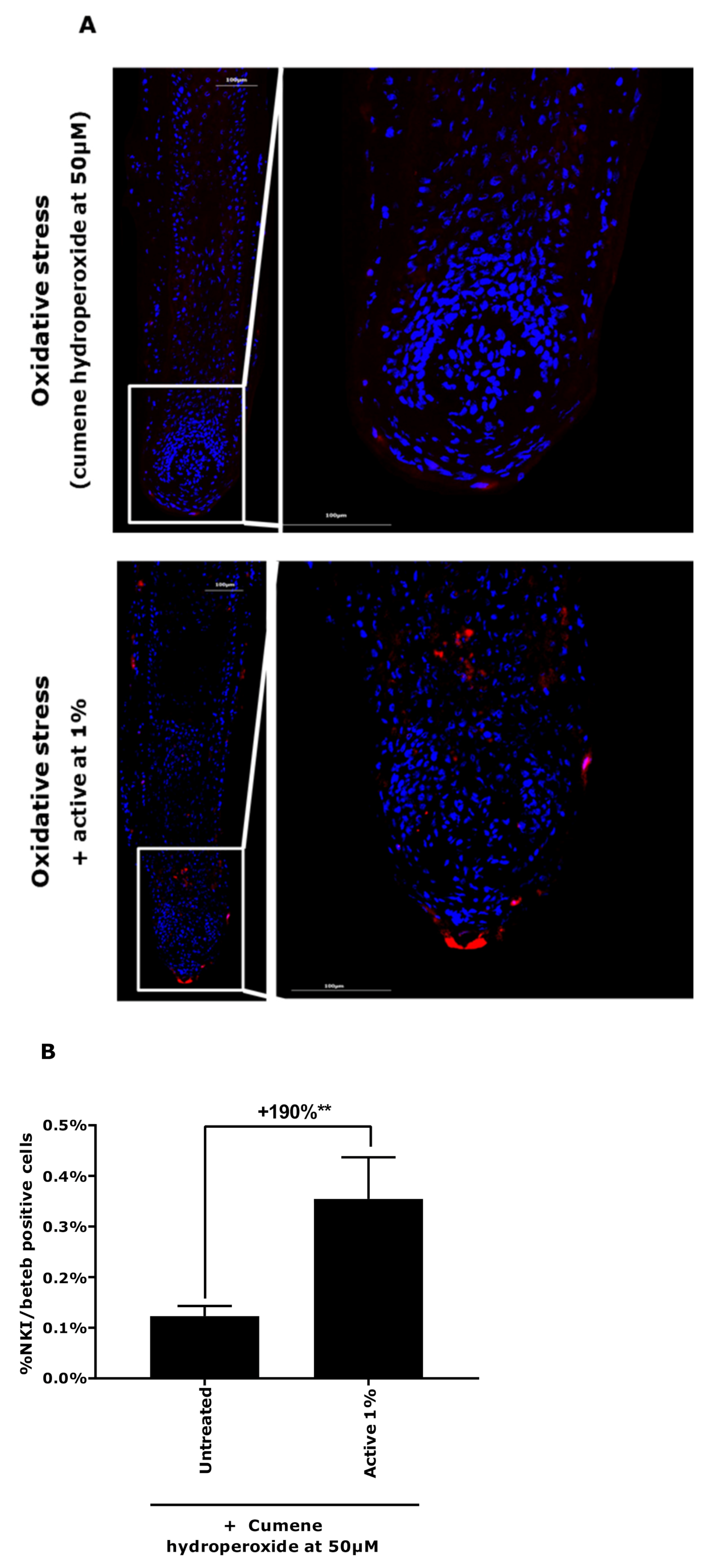 Applsci 11 01533 g006