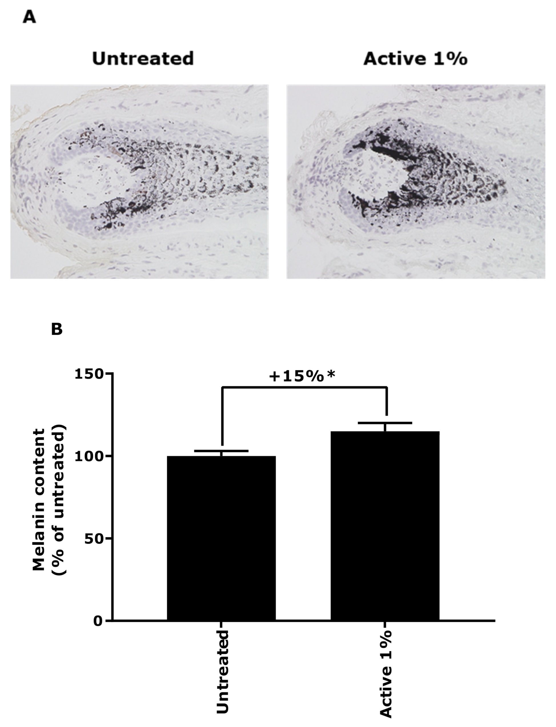 Applsci 11 01533 g007