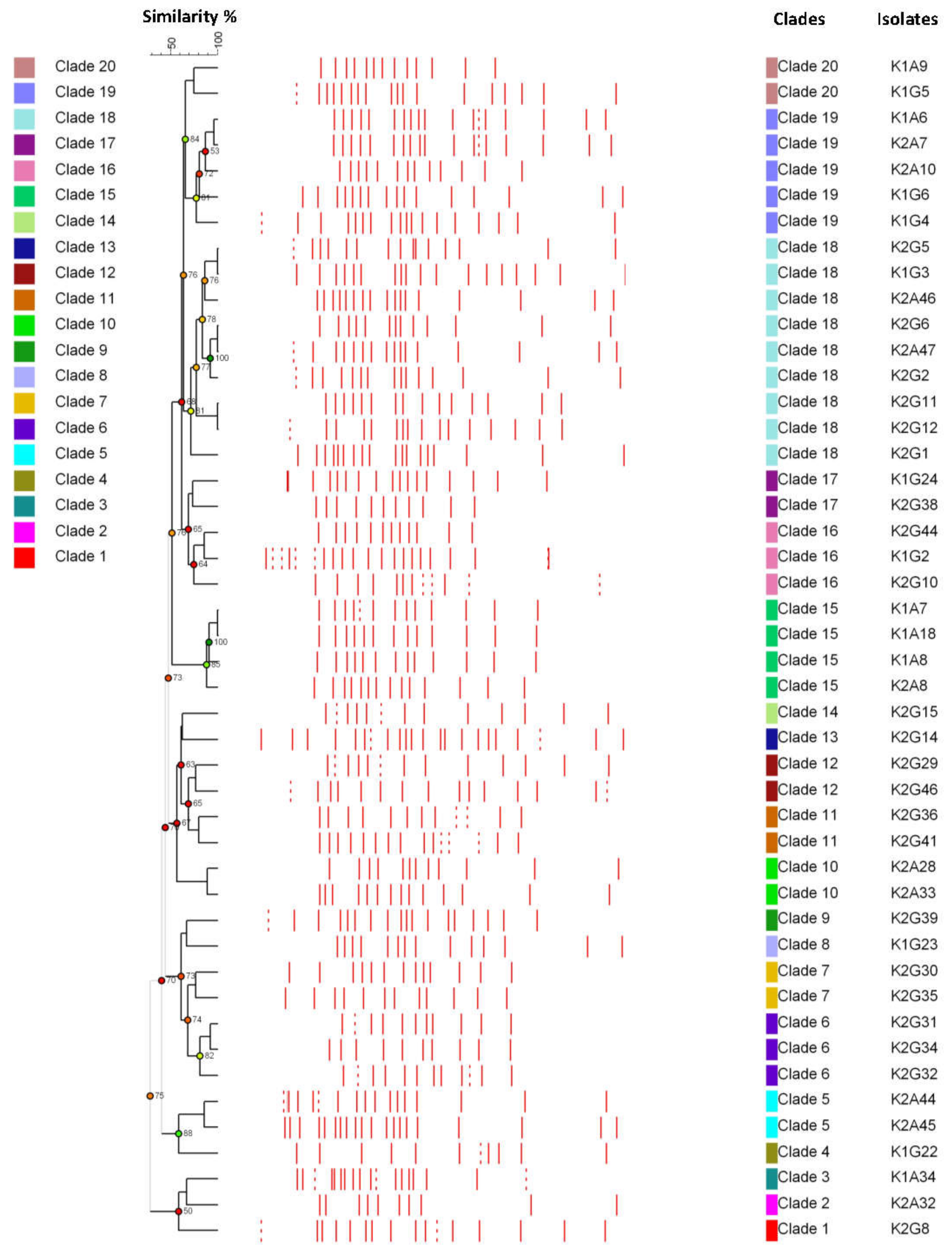 Applsci 11 01595 g002