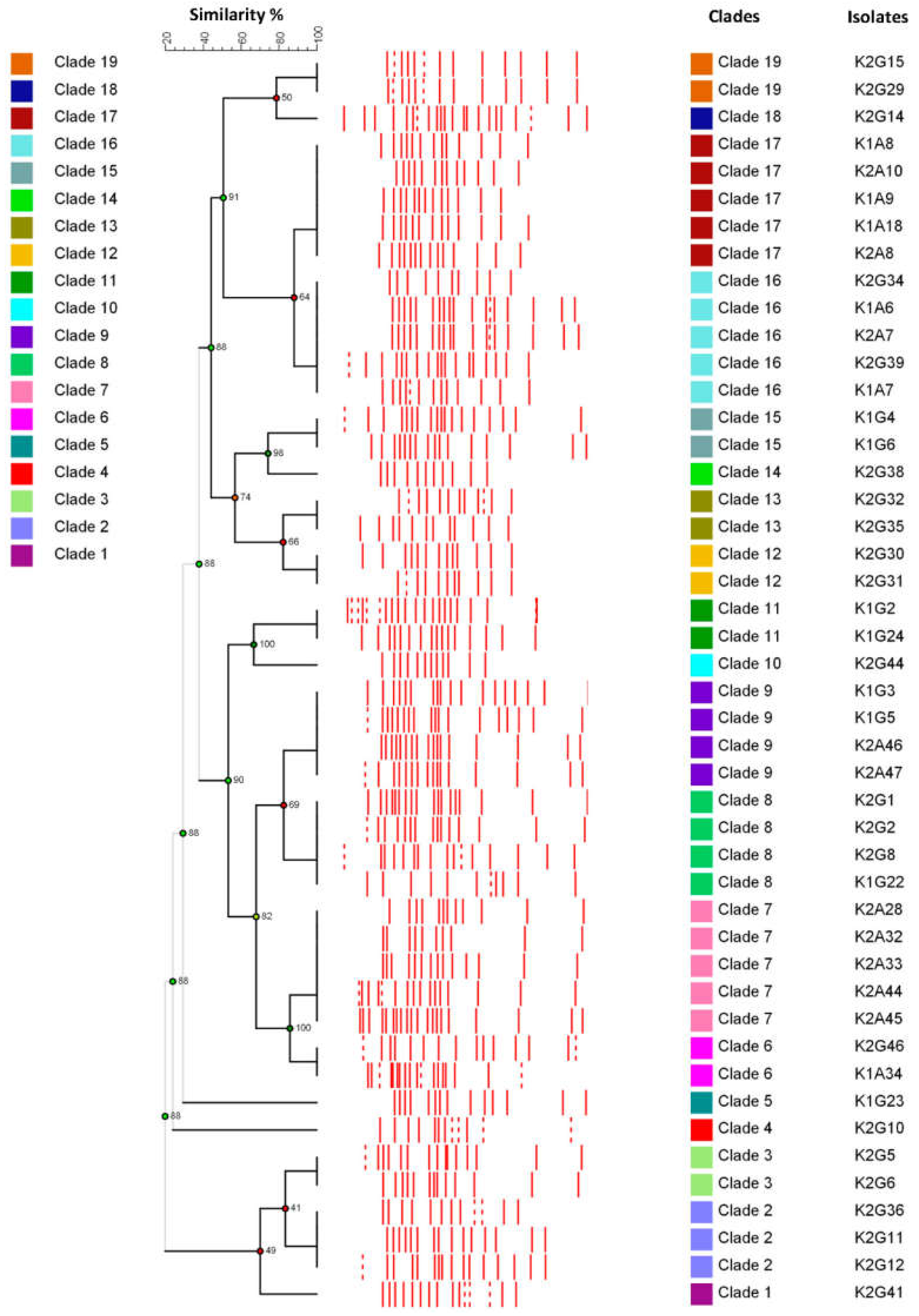 Applsci 11 01595 g003