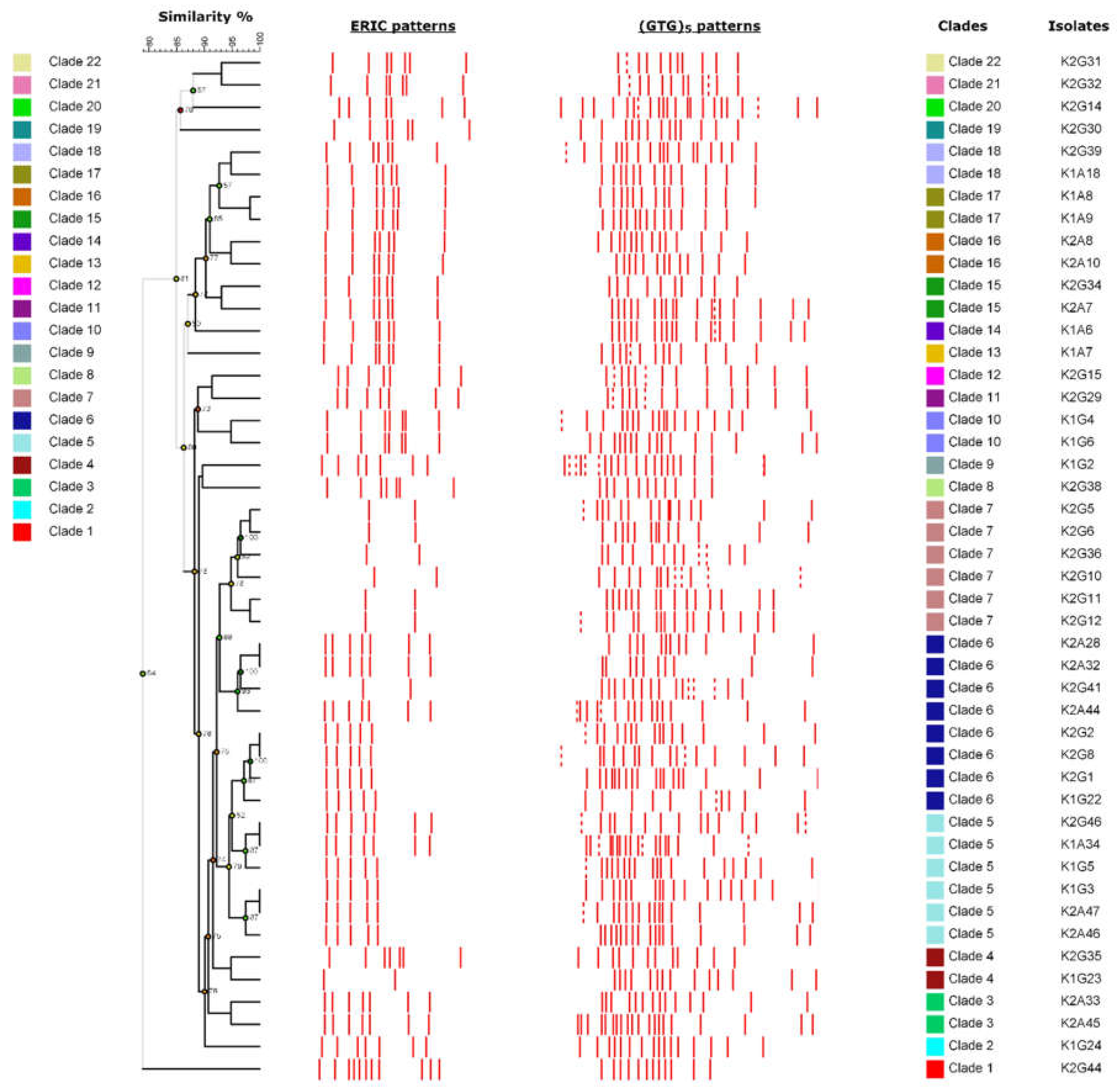Applsci 11 01595 g004