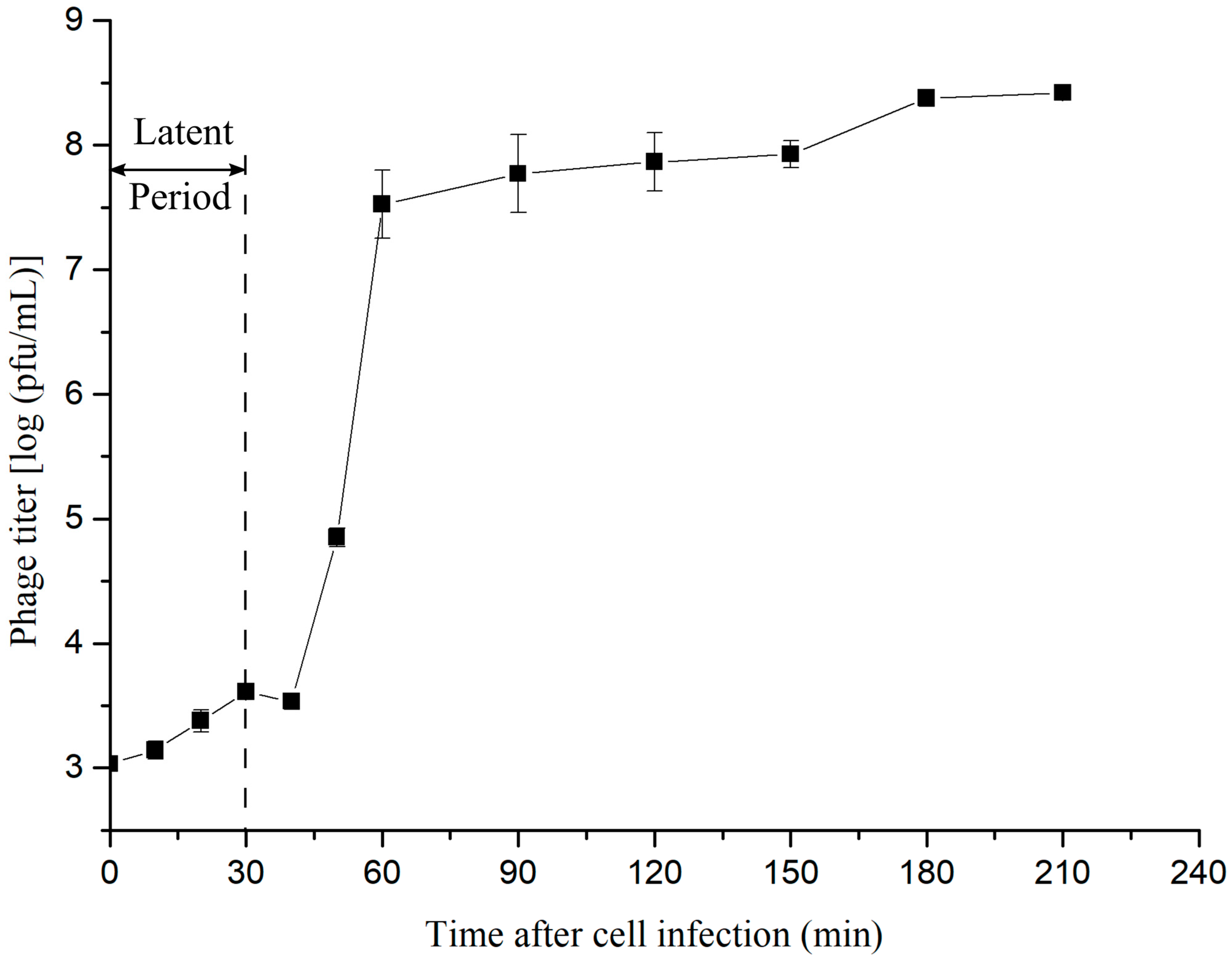 Applsci 11 01602 g005 Applsci 11 01602 g005