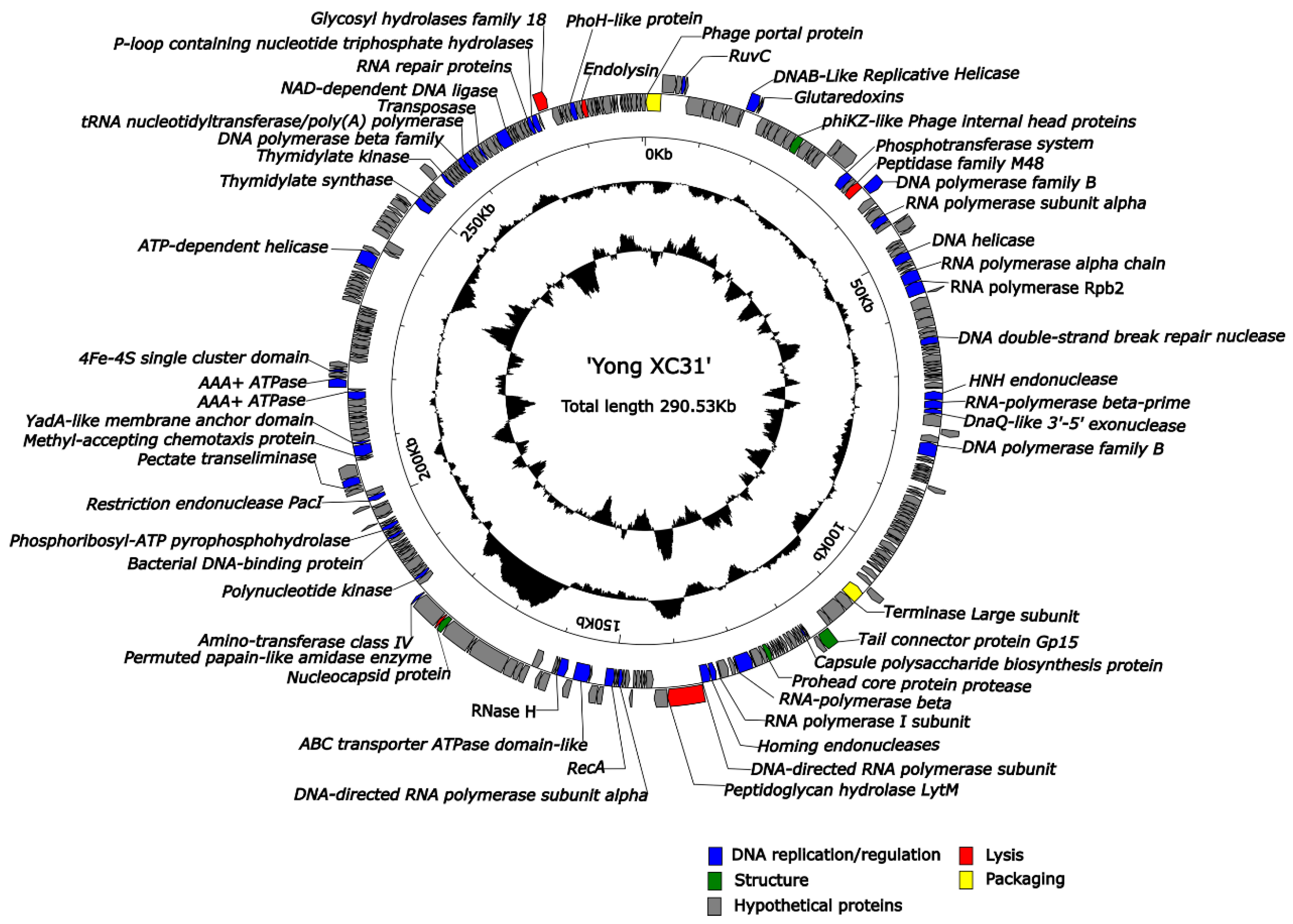Applsci 11 01602 g006 Applsci 11 01602 g006