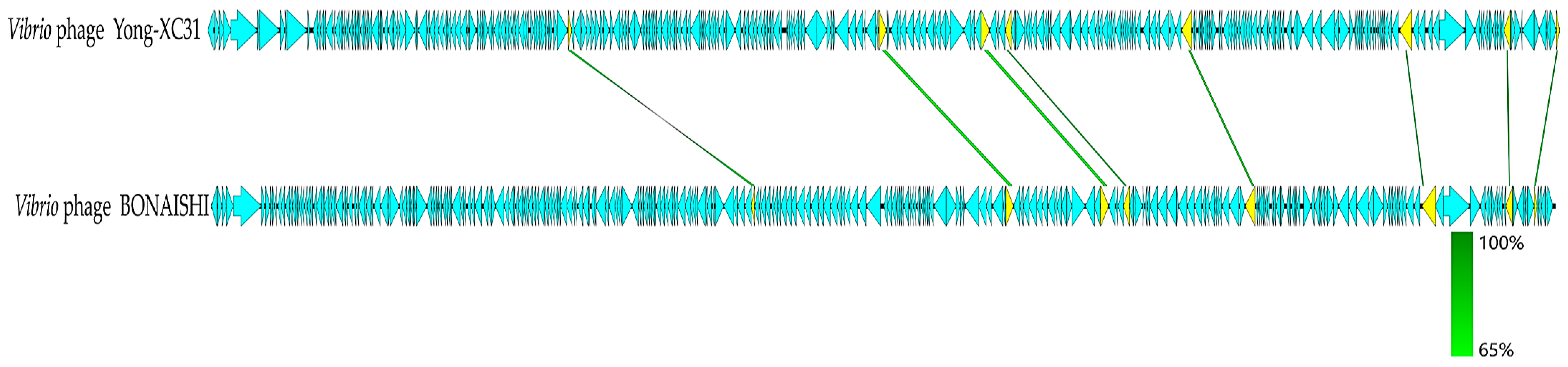 Applsci 11 01602 g007 Applsci 11 01602 g007