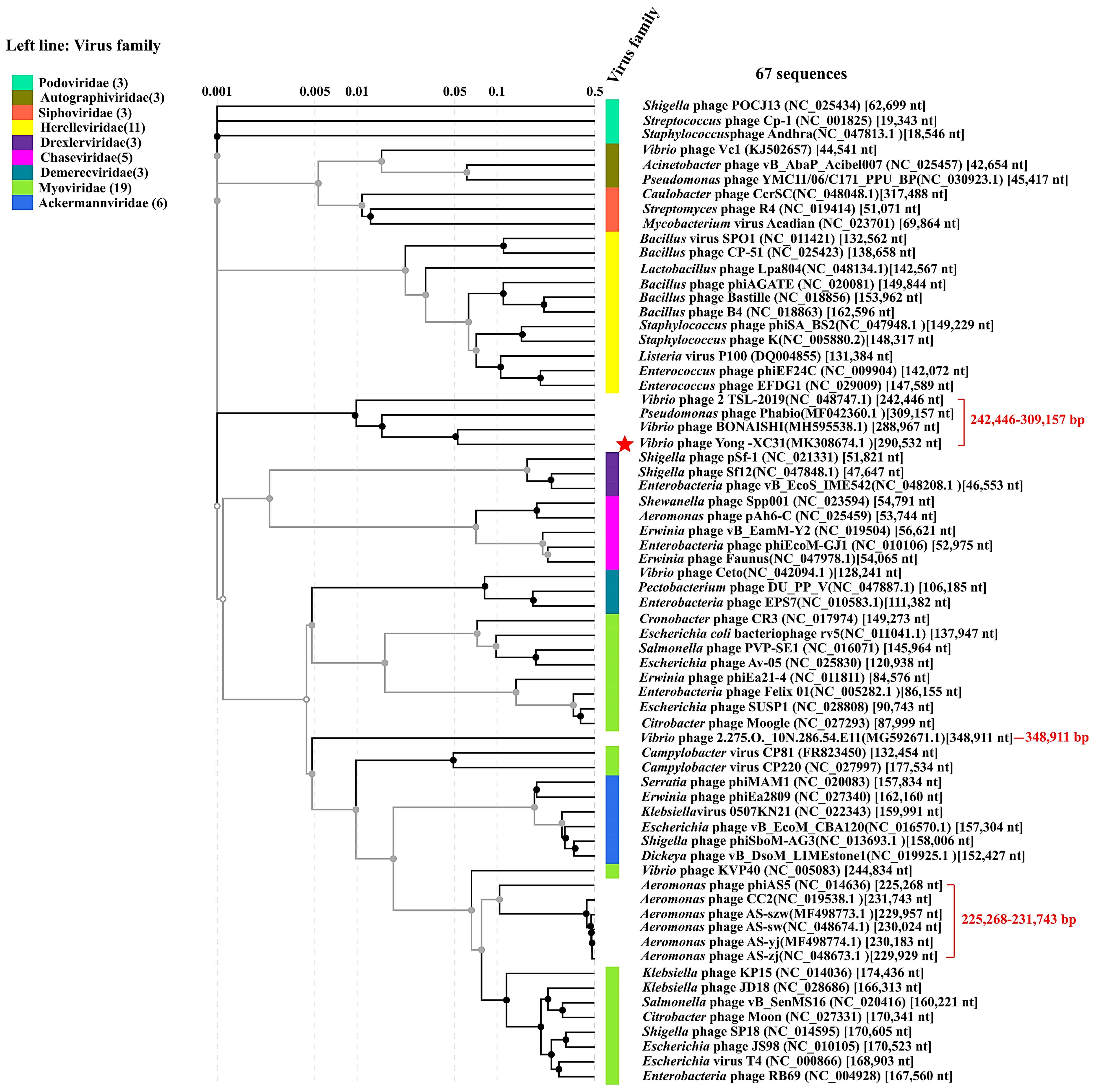 Applsci 11 01602 g008 Applsci 11 01602 g008