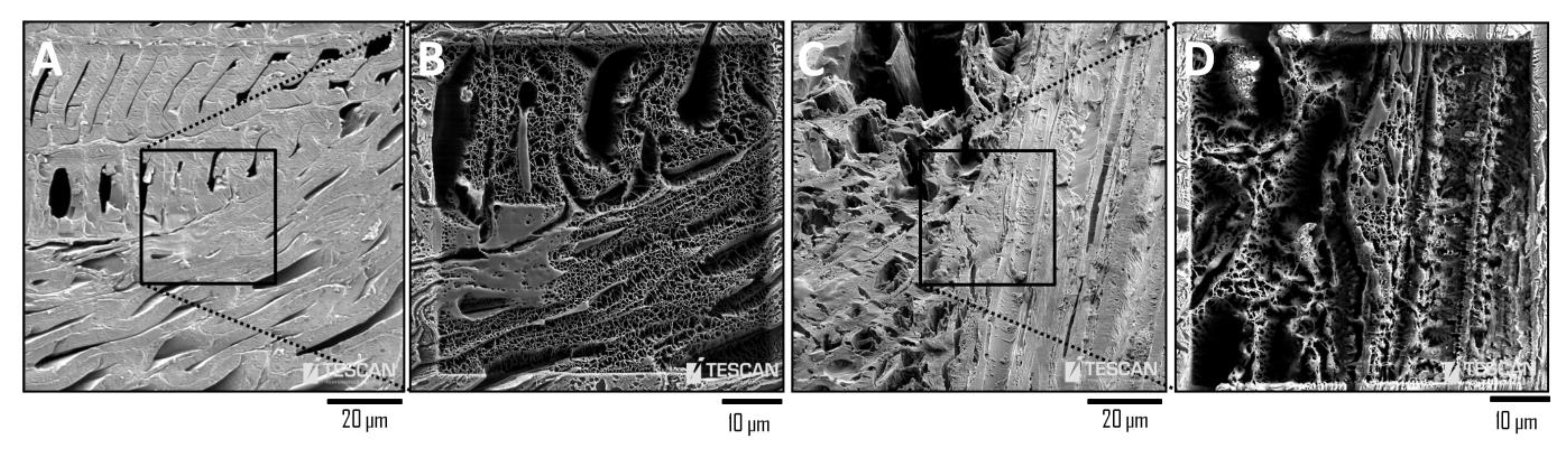 Applsci 11 01604 g002