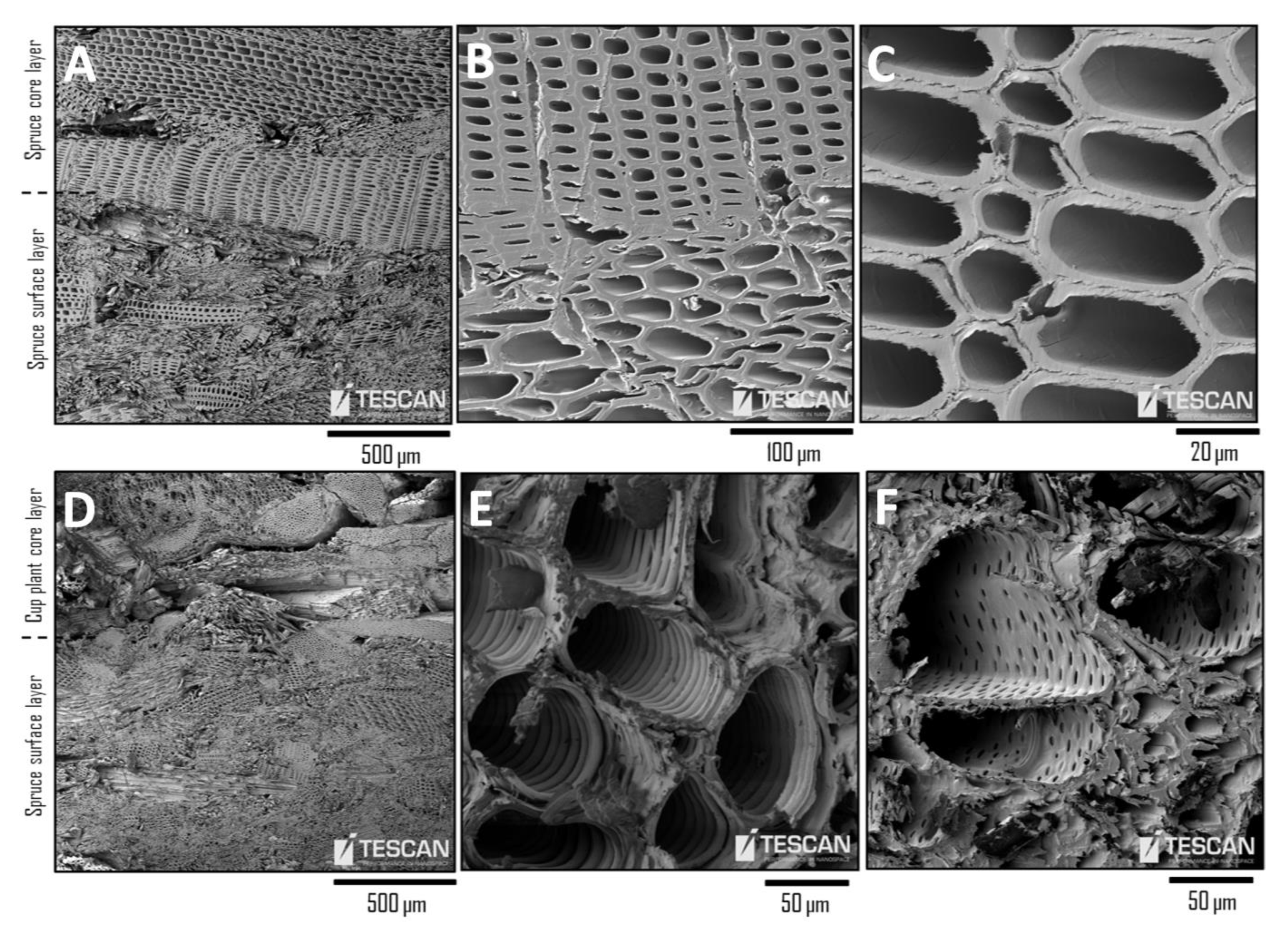 Applsci 11 01604 g003