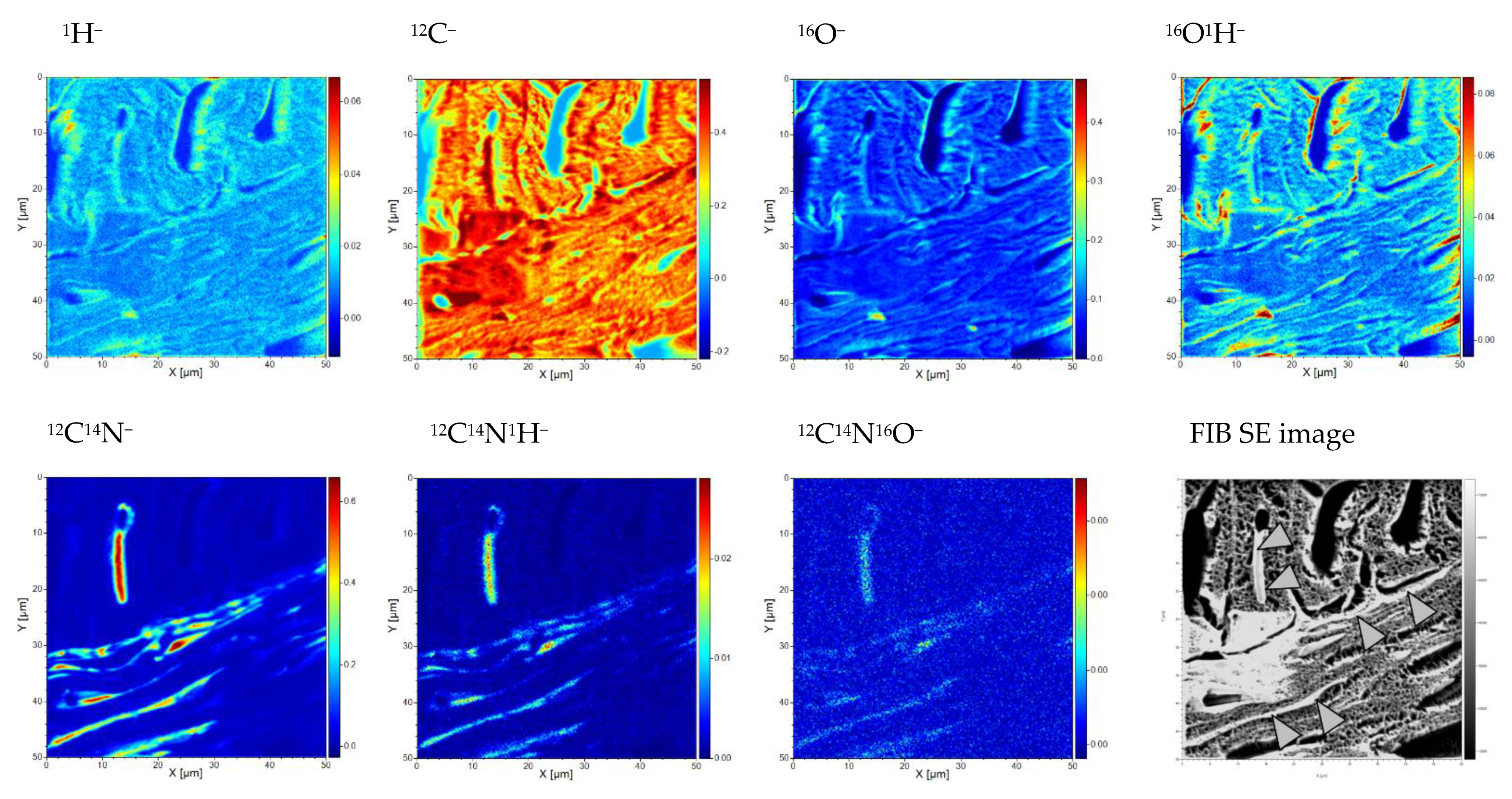 Applsci 11 01604 g004