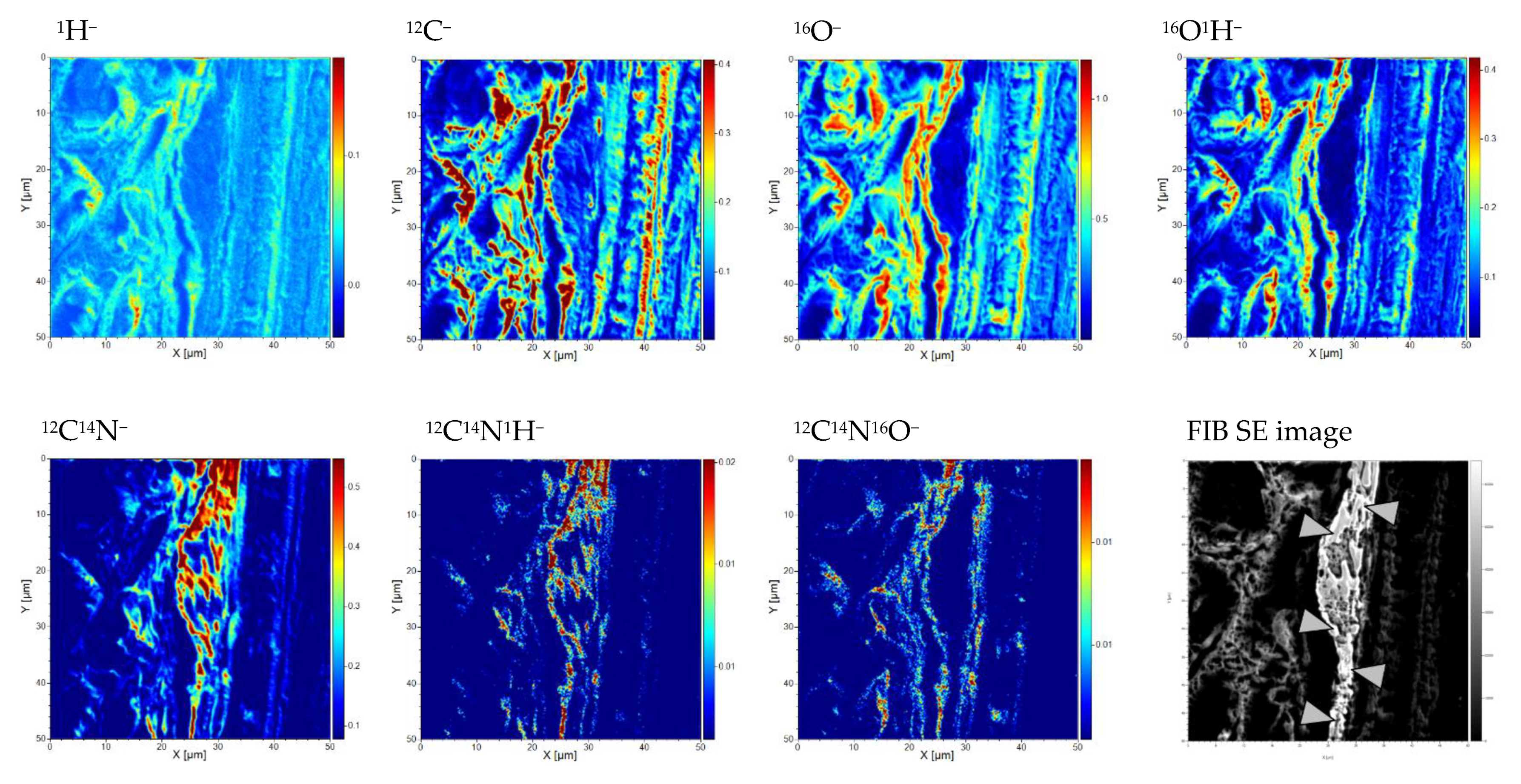 Applsci 11 01604 g005