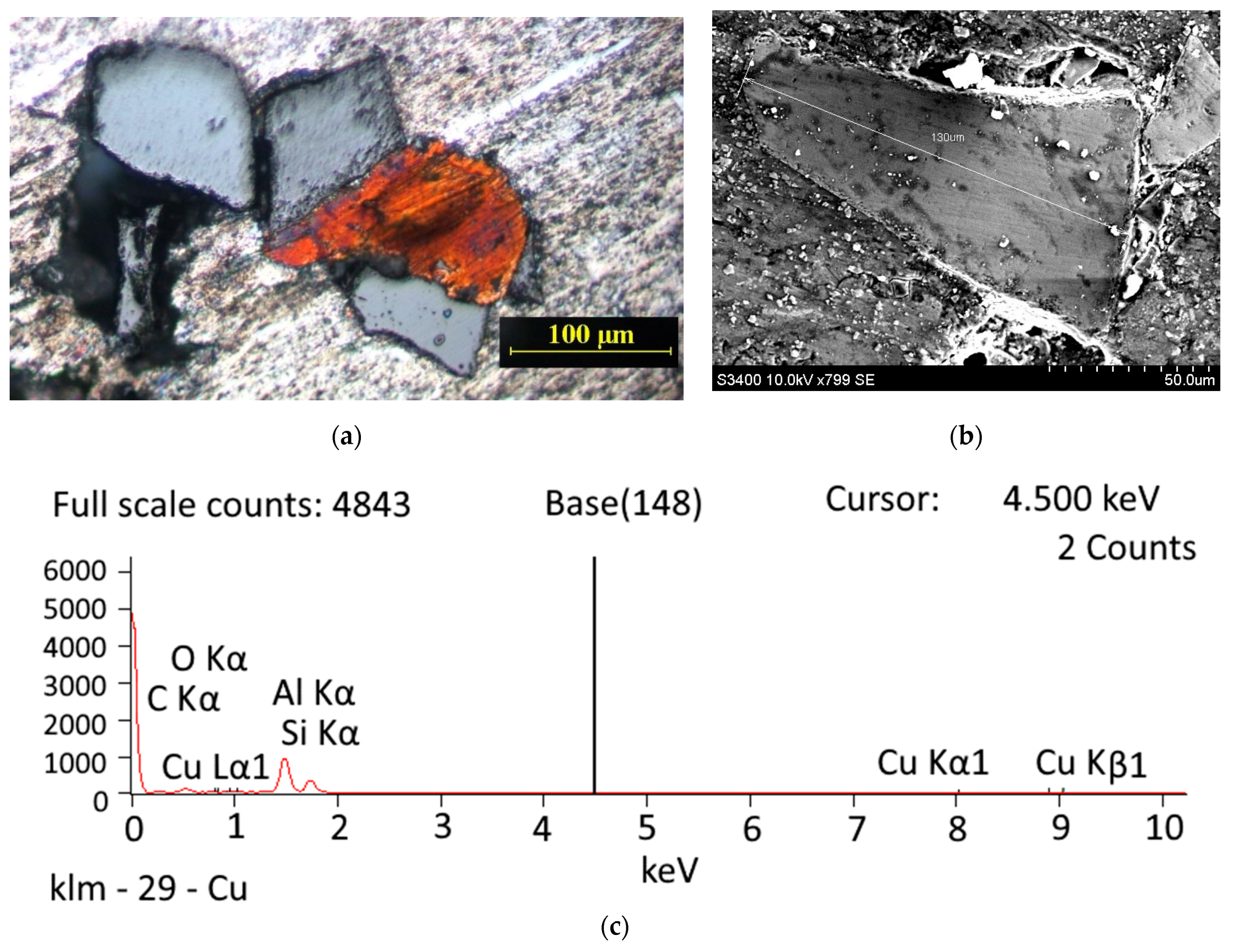 Applsci 11 01625 g003 Applsci 11 01625 g003