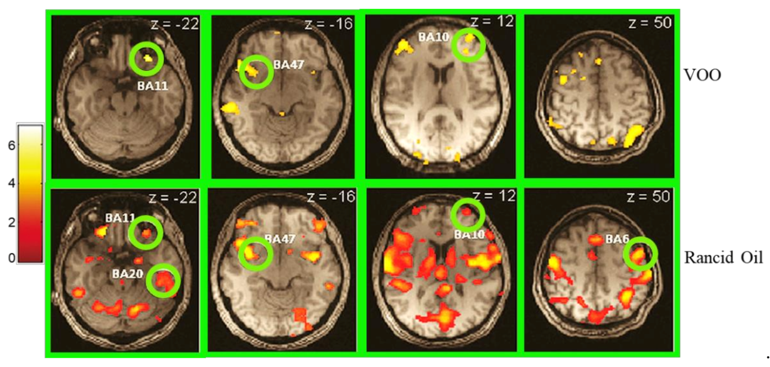 Applsci 11 01639 g002