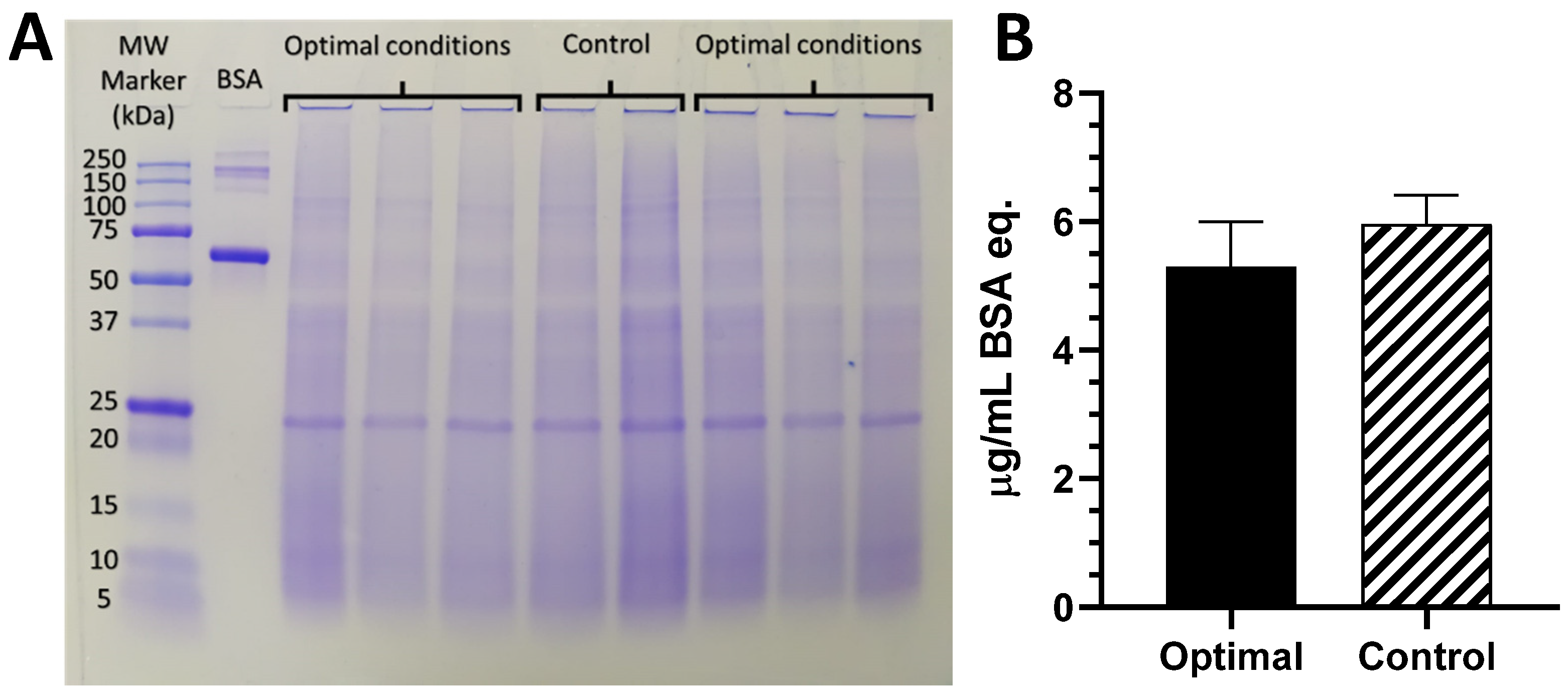 Applsci 11 01701 g009 Applsci 11 01701 g009