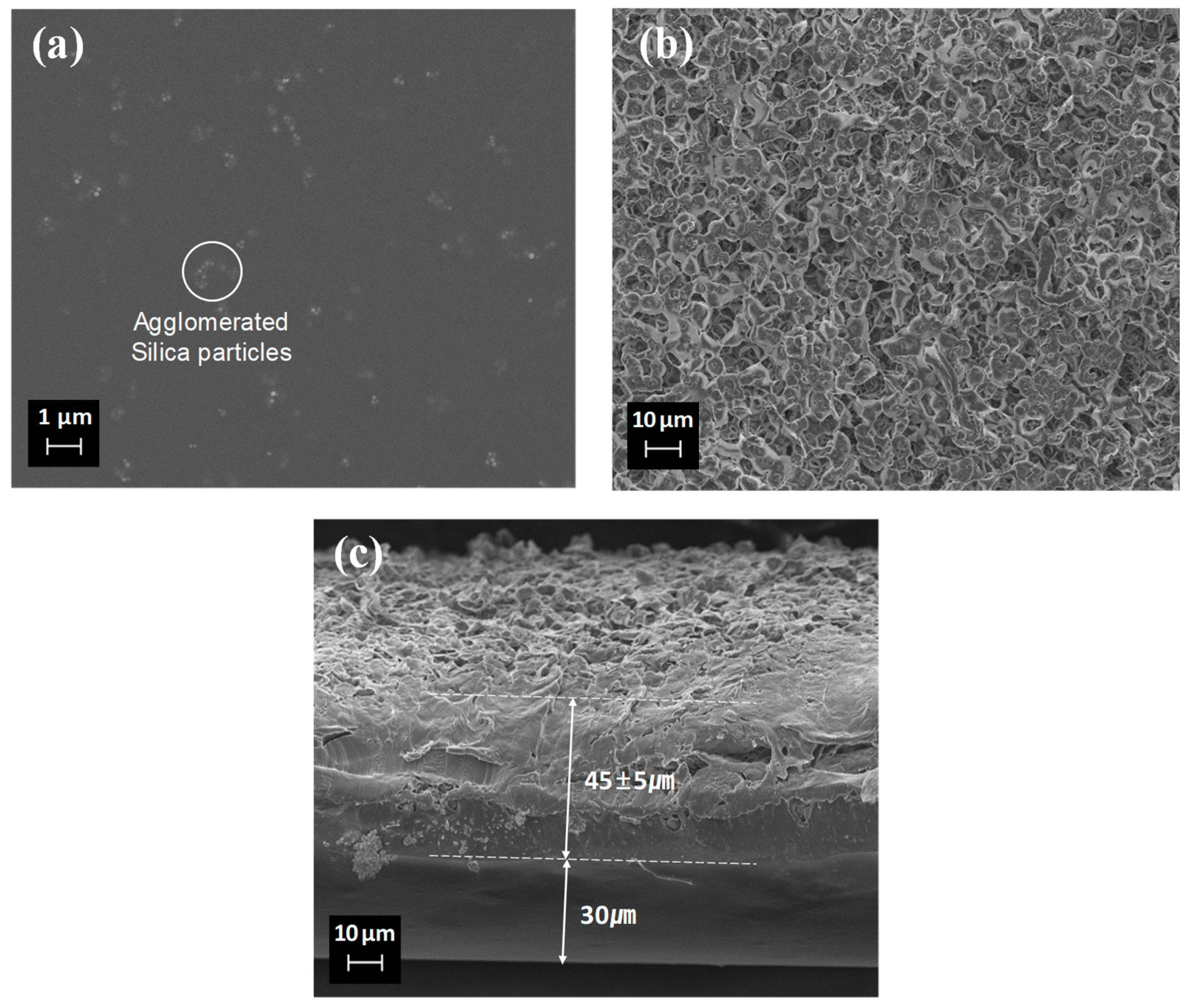 Applsci 11 01710 g004