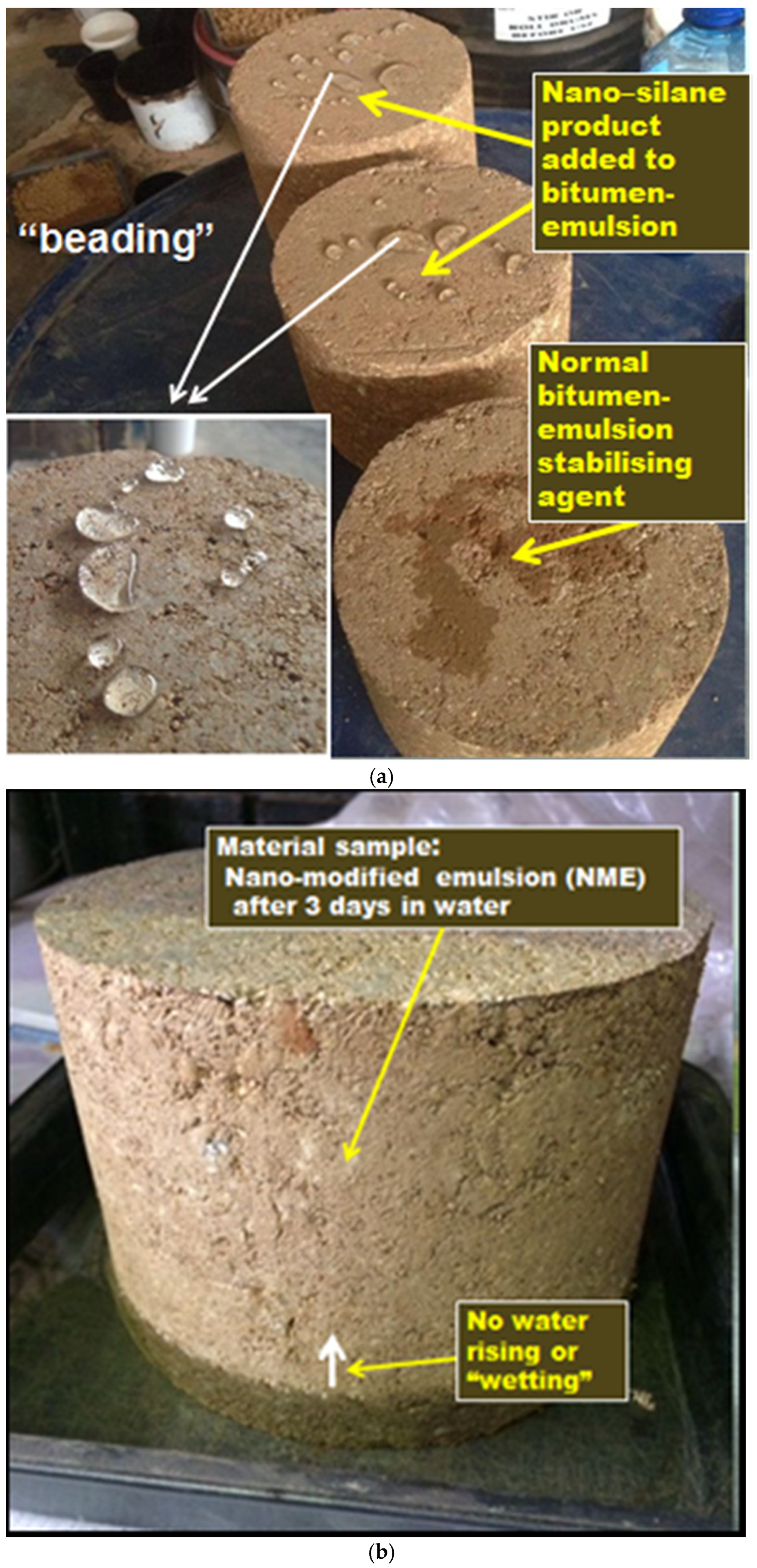 Applsci 11 01745 g005 Applsci 11 01745 g005