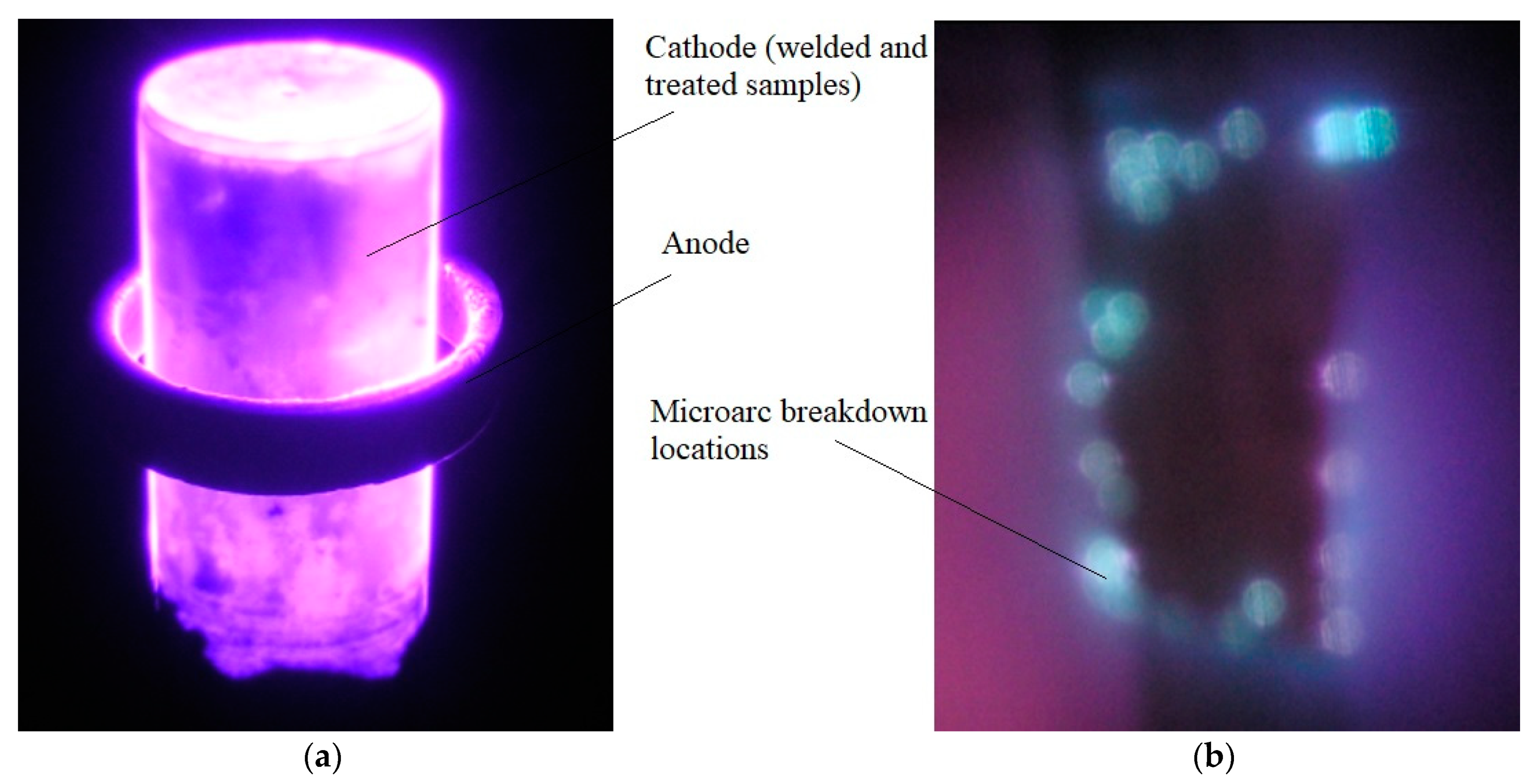 Applsci 11 01765 g008 Applsci 11 01765 g008