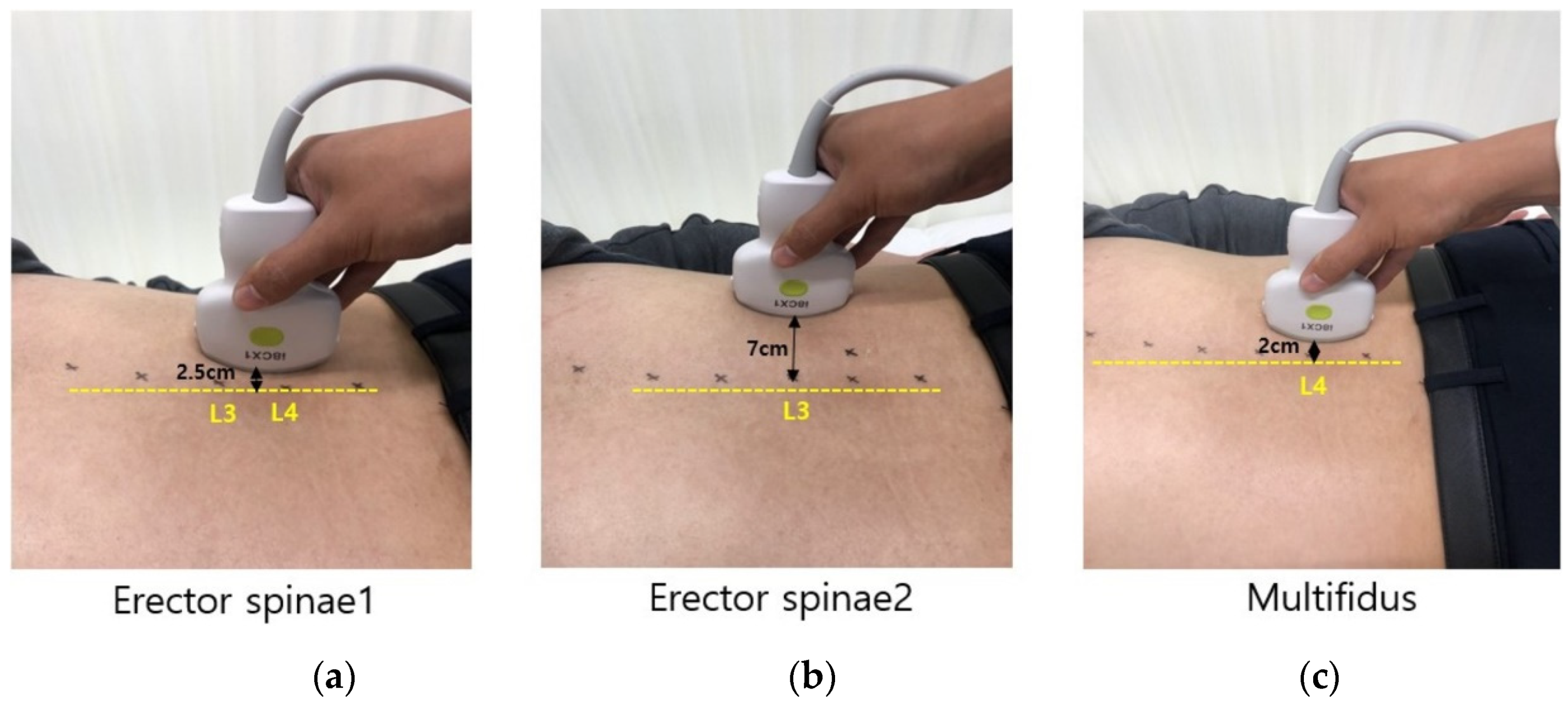 Applsci 11 01782 g001 Applsci 11 01782 g001