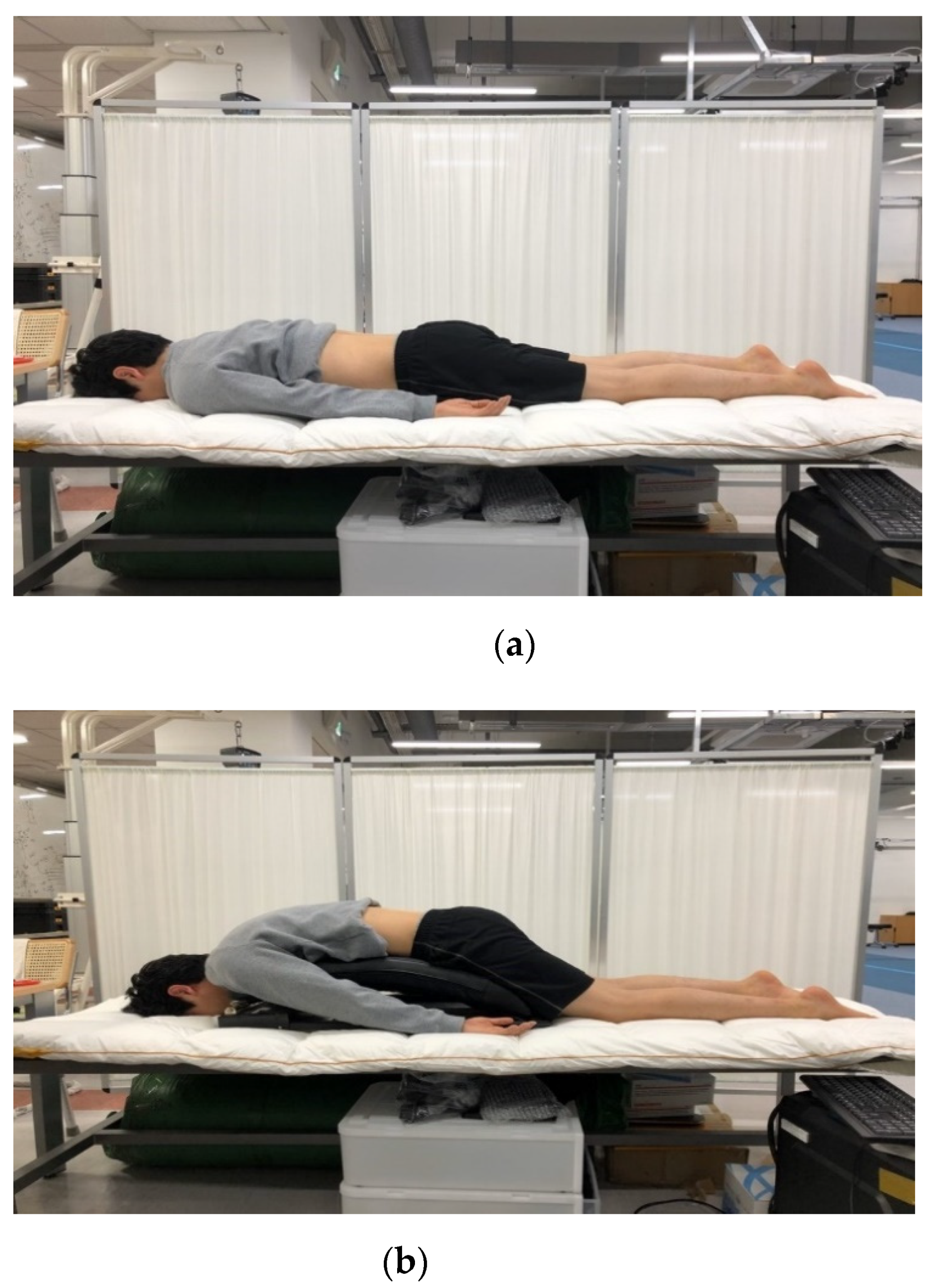 Applsci 11 01782 g002 Applsci 11 01782 g002